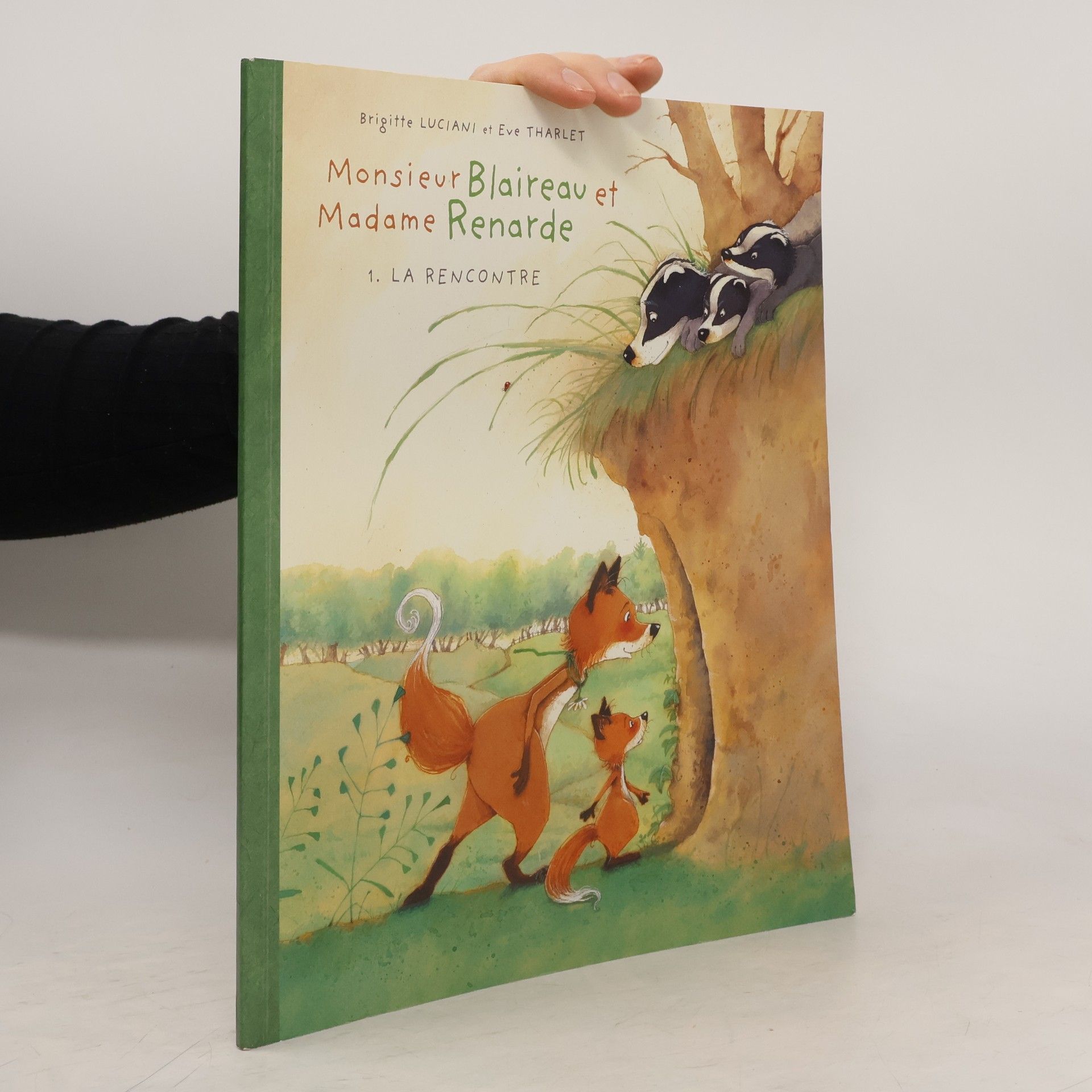 Brigitte Luciani La rencontre