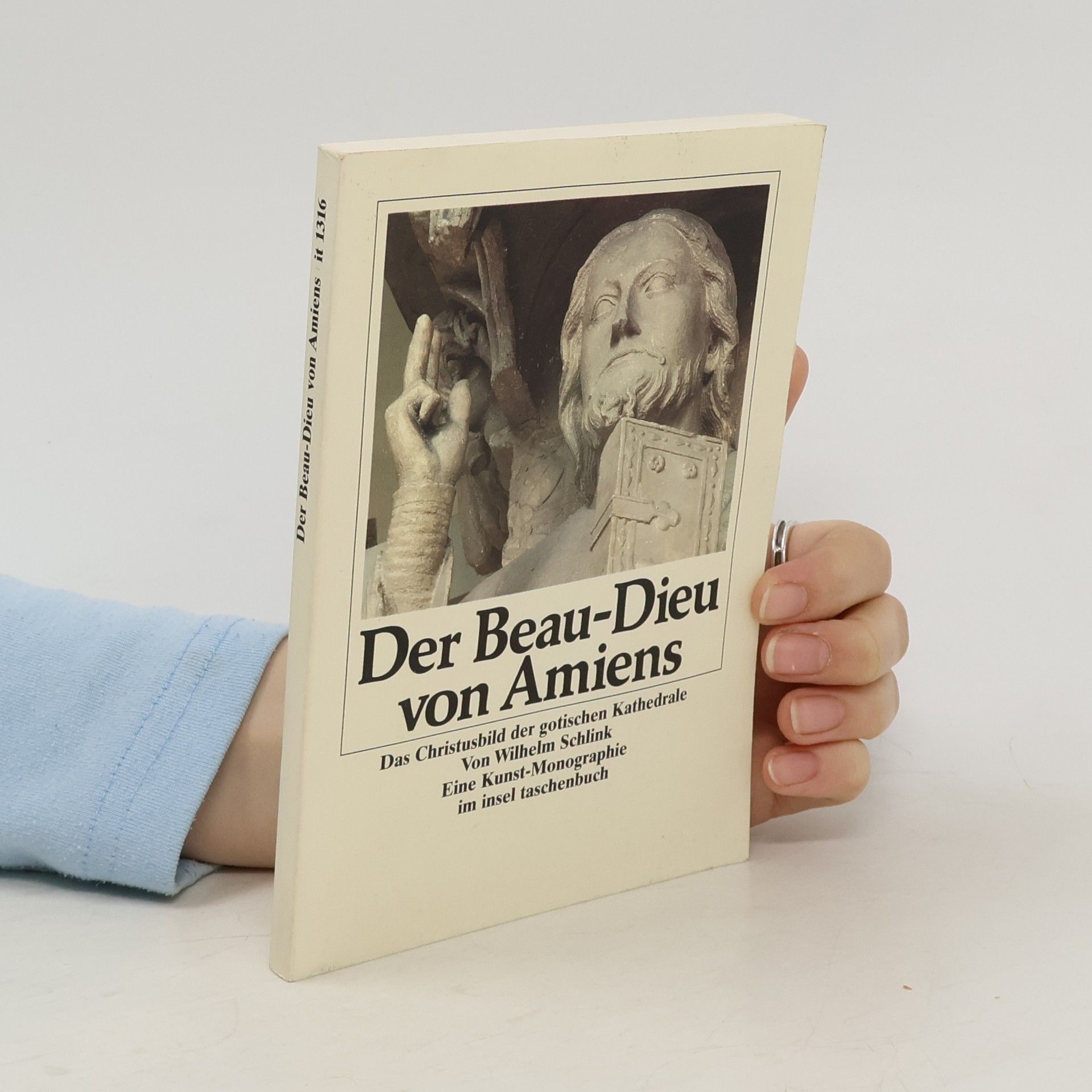 Wilhelm Schlink Der Beau-Dieu von Amiens