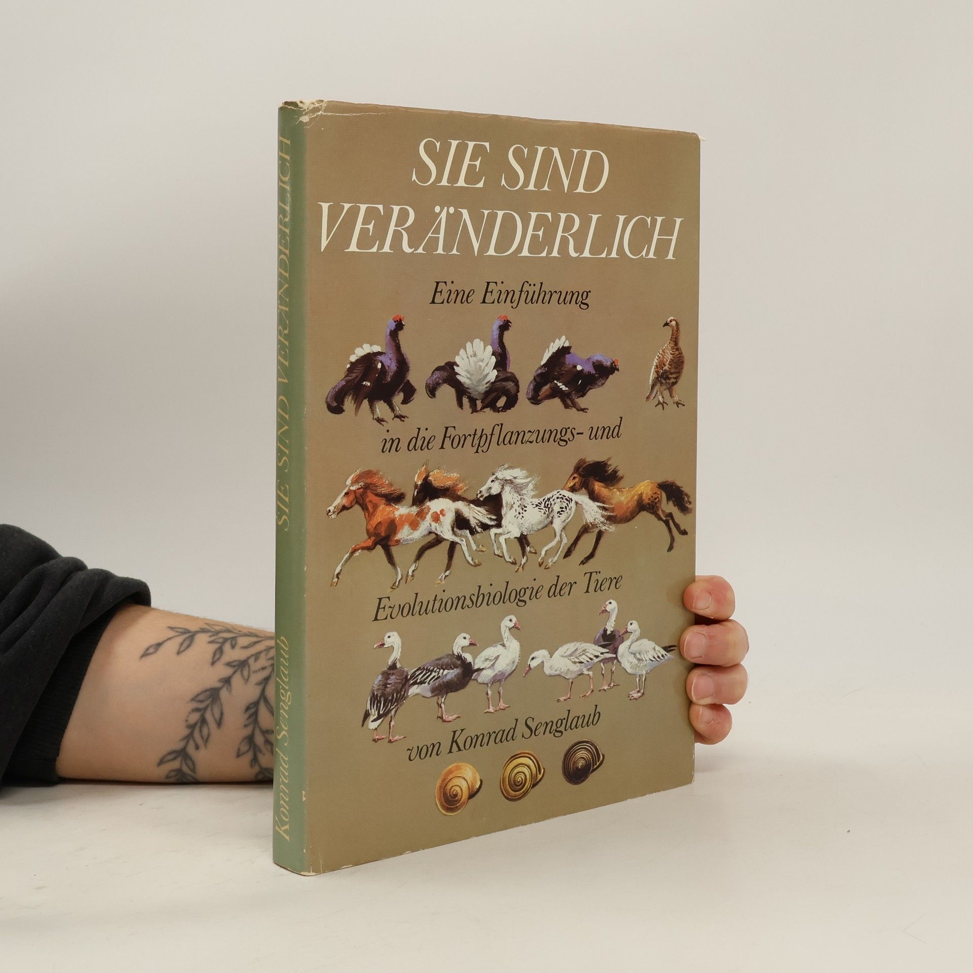 Konrad Senglaub Sie sind veränderlich