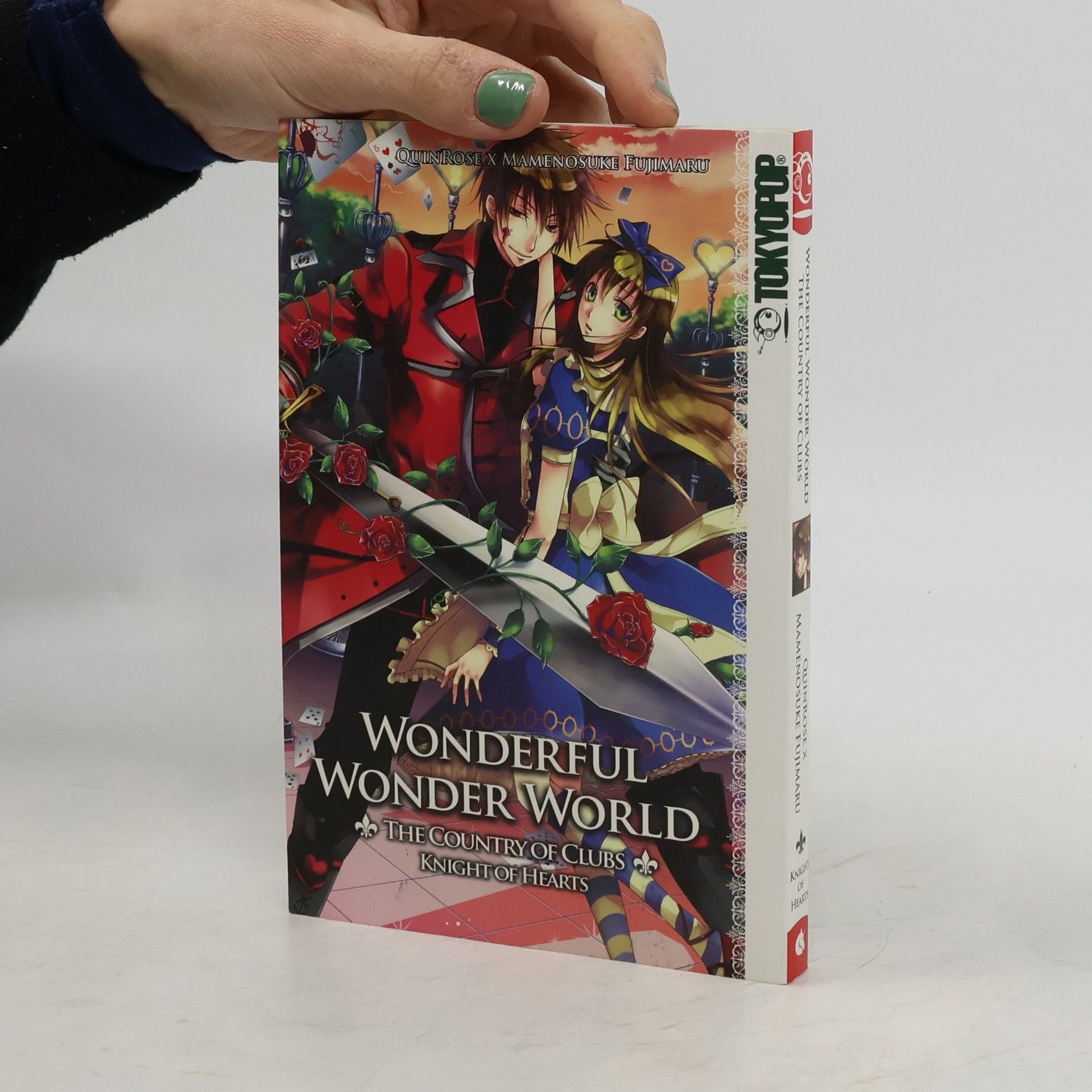 Autorenkollektiv Wonderful wonder world - the country of clubs