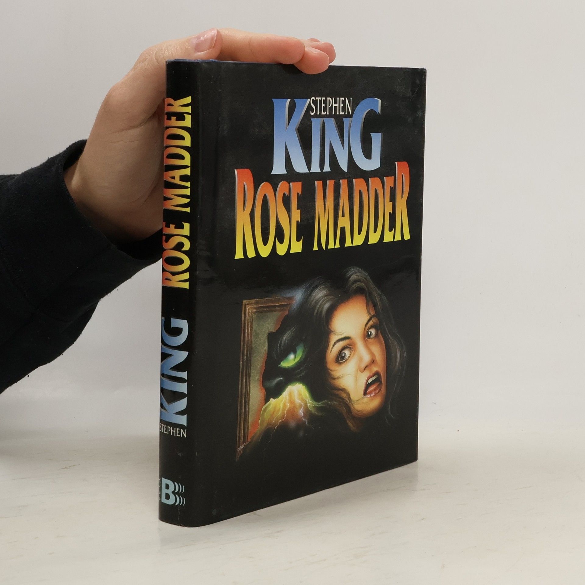 Stephen King Rose Madder