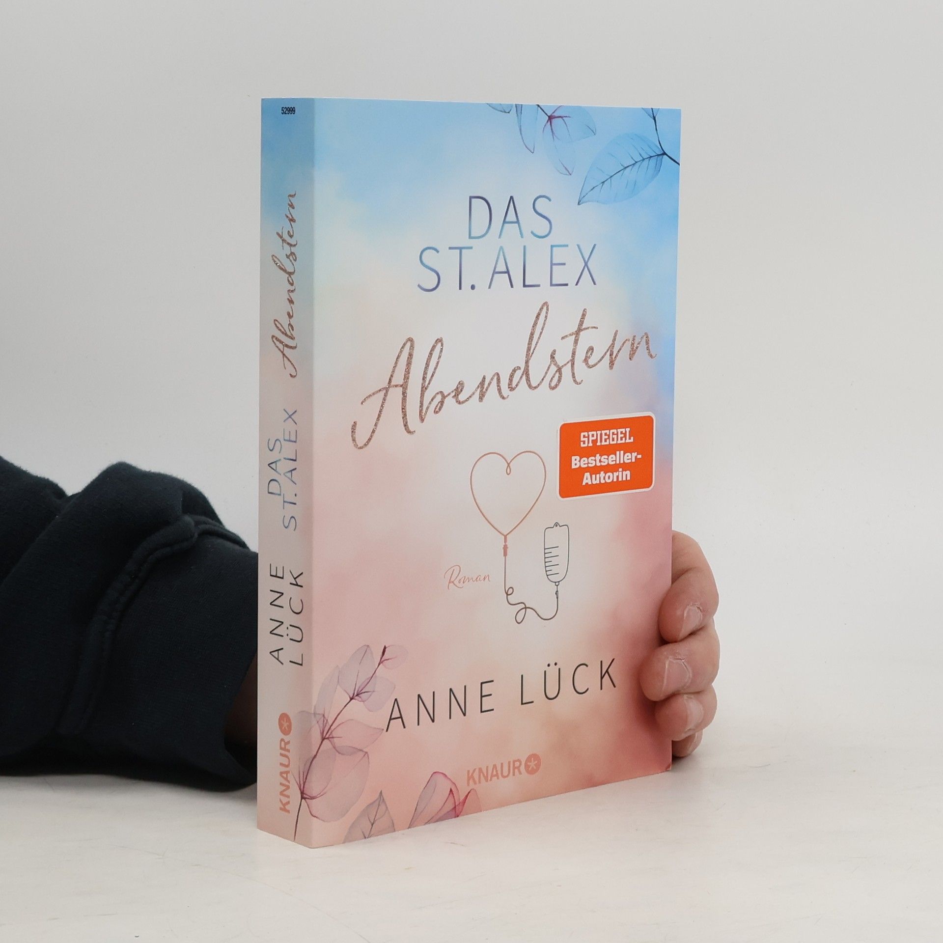 Anne Lück Das St. Alex - Abendstern