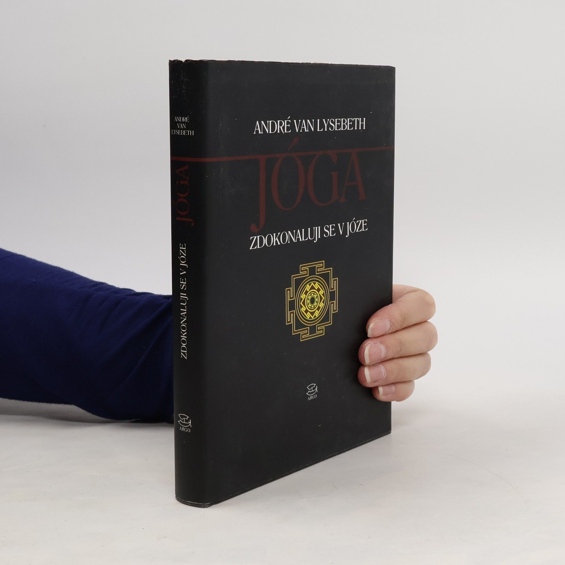 Jóga. Zdokonaluji se v józe