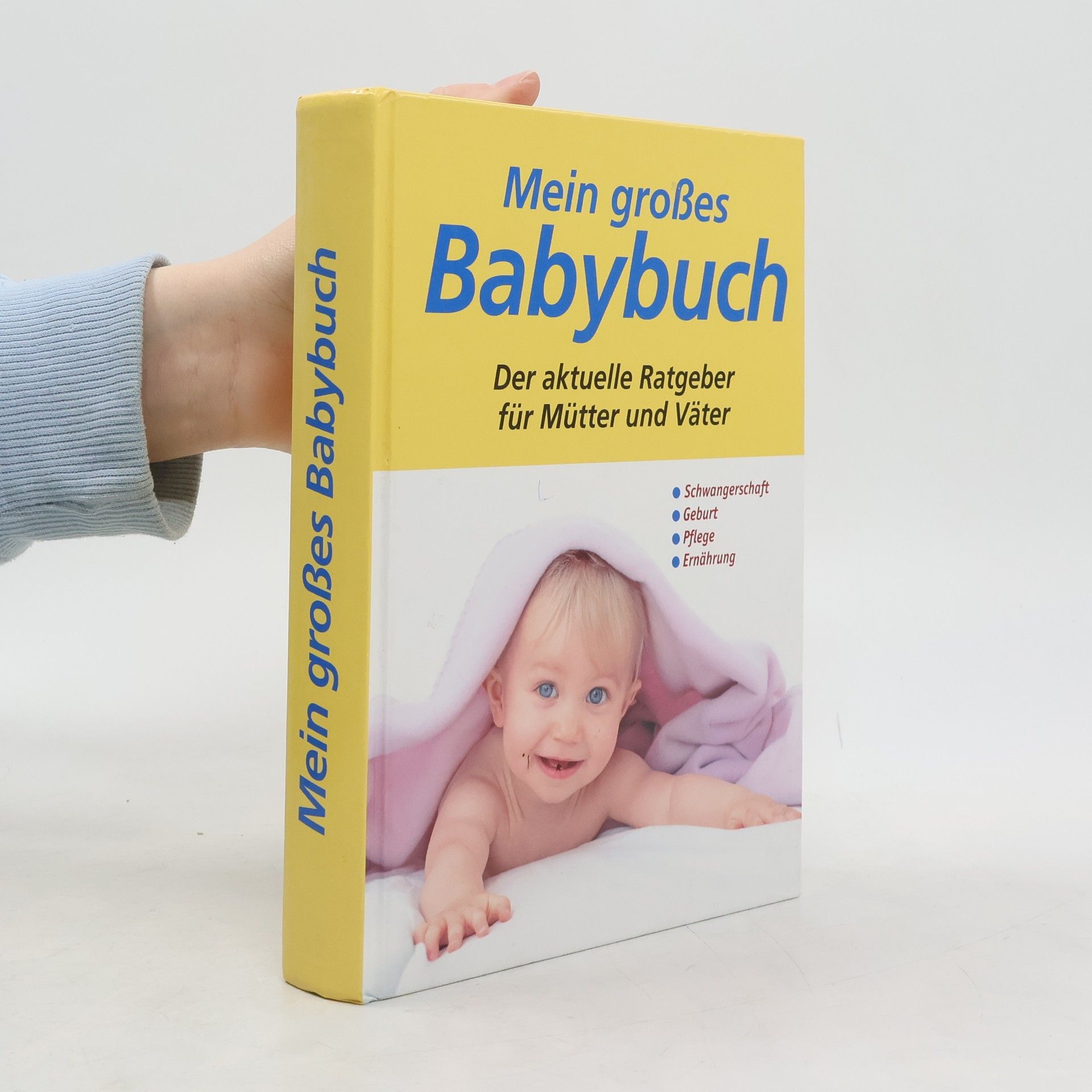 Collectif d'auteurs Mein grosses Babybuch
