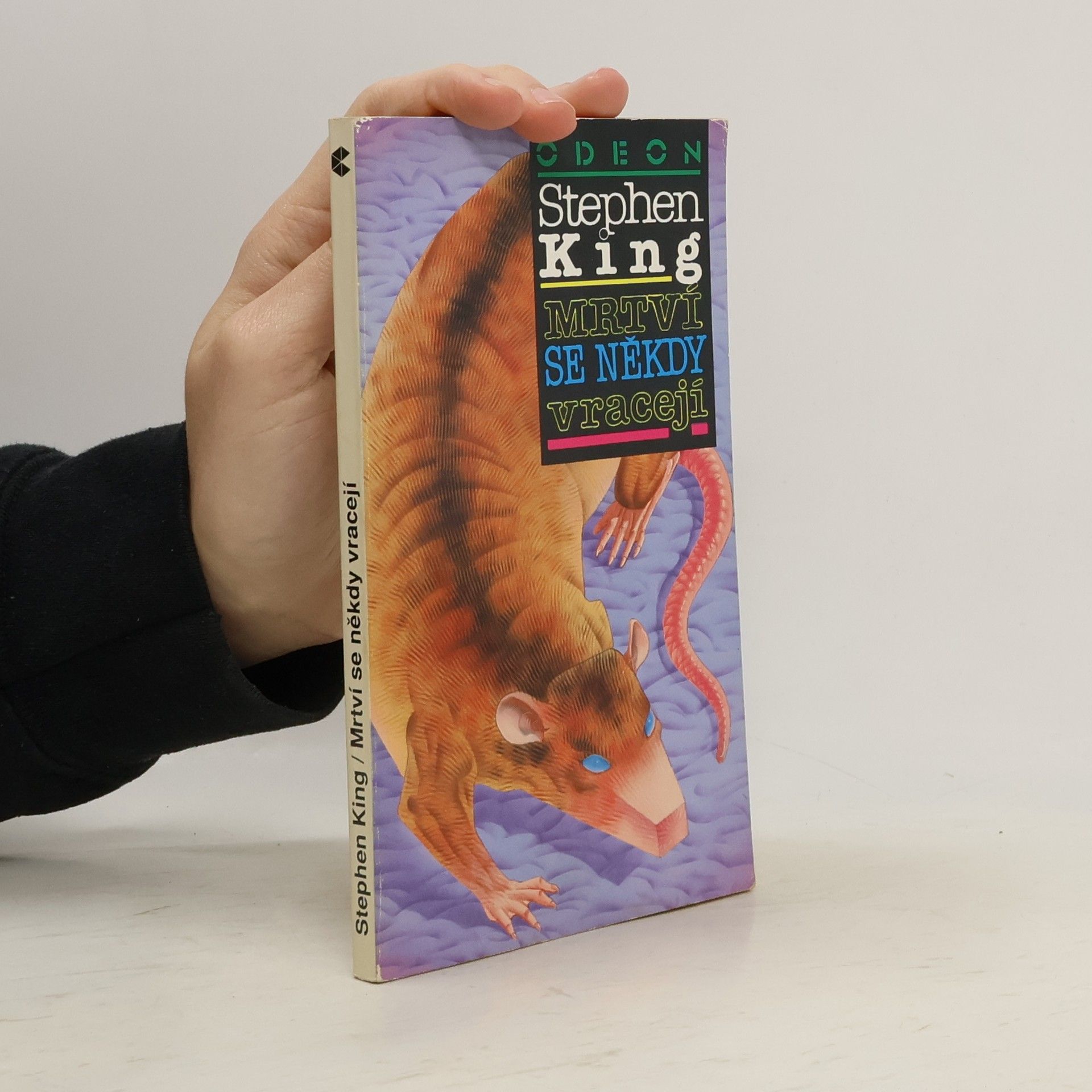 Stephen King Mrtví se někdy vracejí