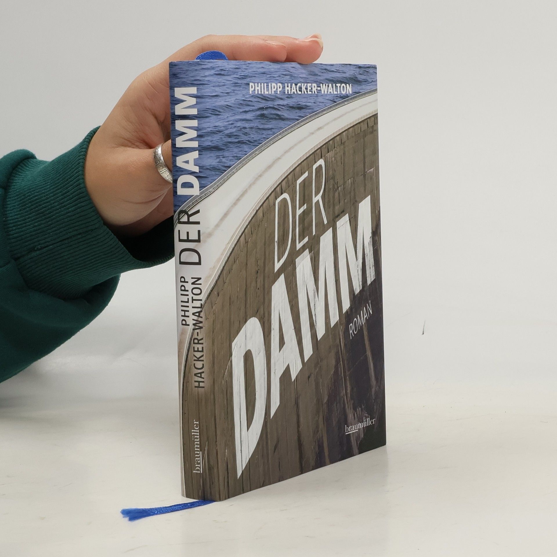 Philipp Hacker-Walton Der Damm