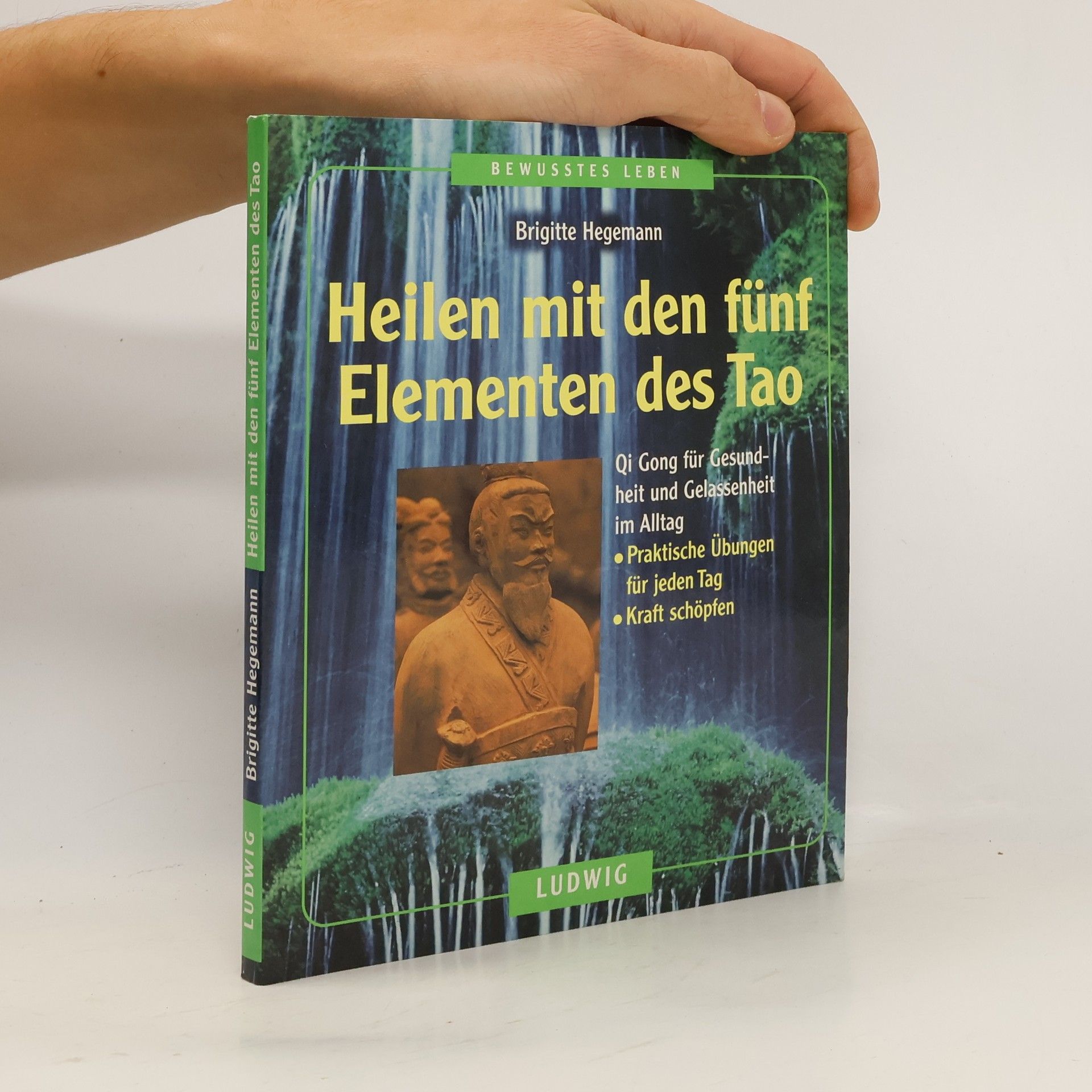 Brigitte Hegemann Heilen mit den fünf Elementen des Tao