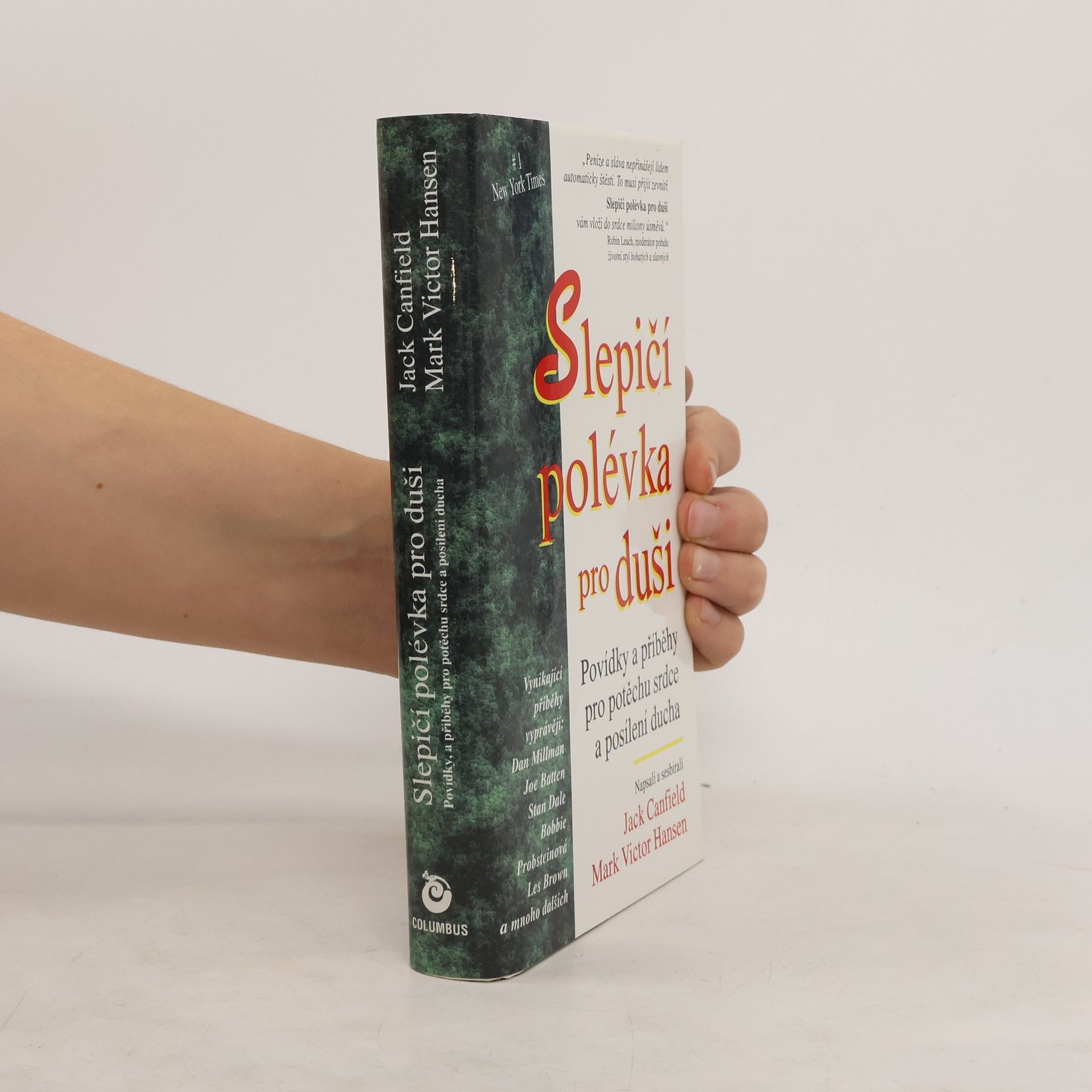 Autorenkollektiv Slepičí polévka pro duši. Povídky a příběhy pro potěchu srdce a posílení ducha