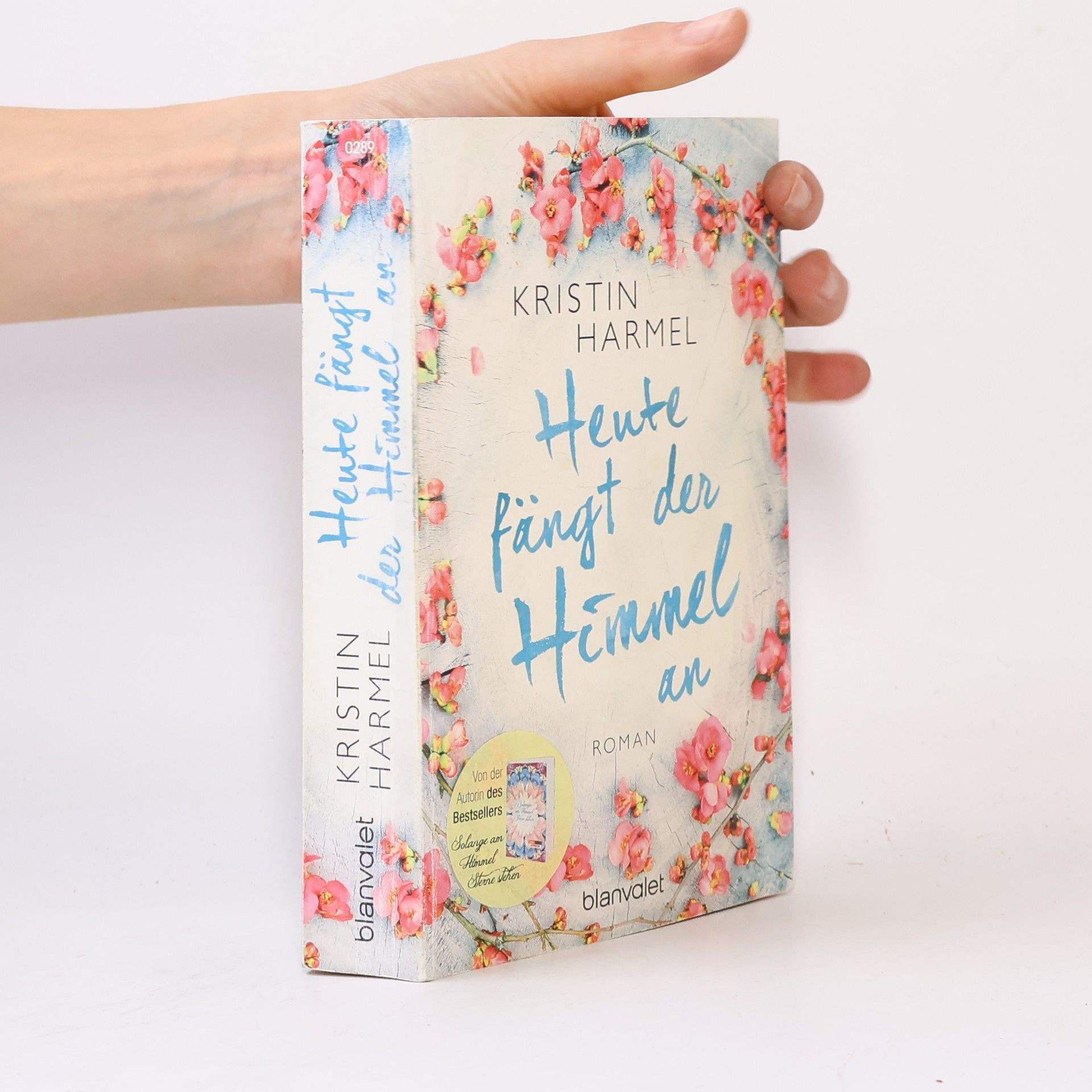 Kristin Harmel Heute fängt der Himmel an