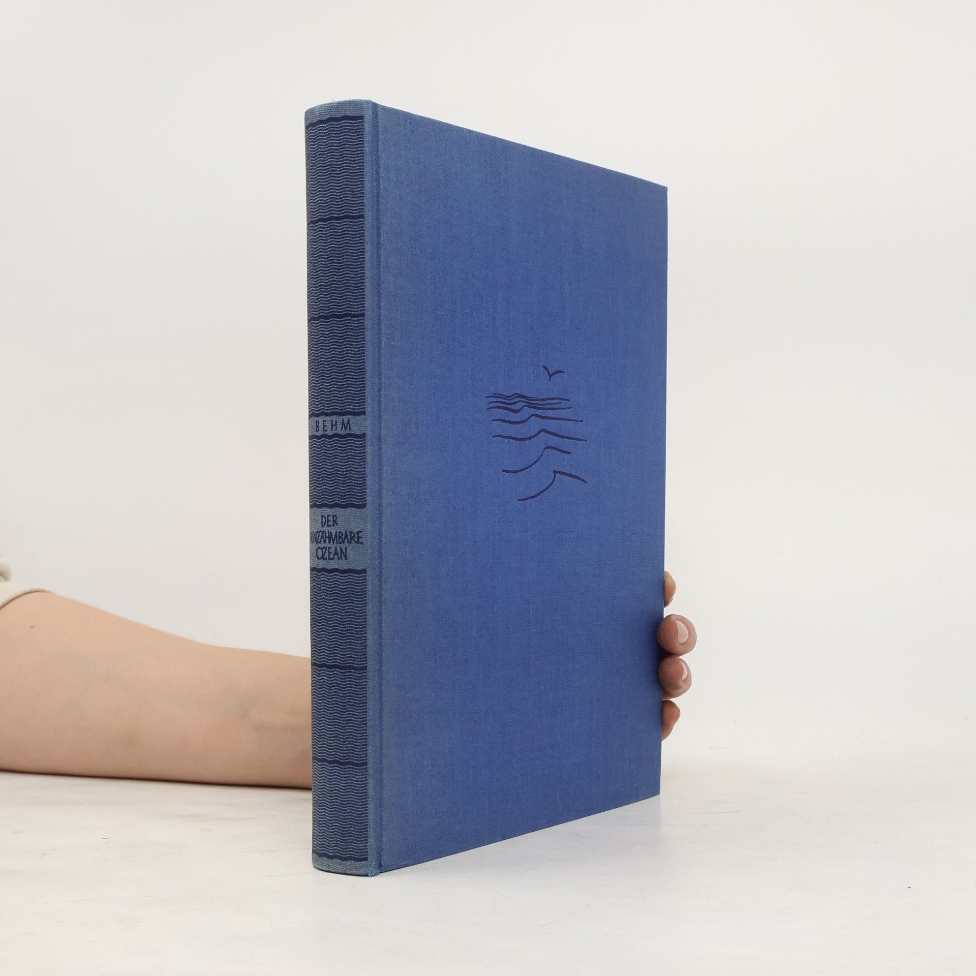Hans Wolfgang Behm  Der unzähmbare Ozean