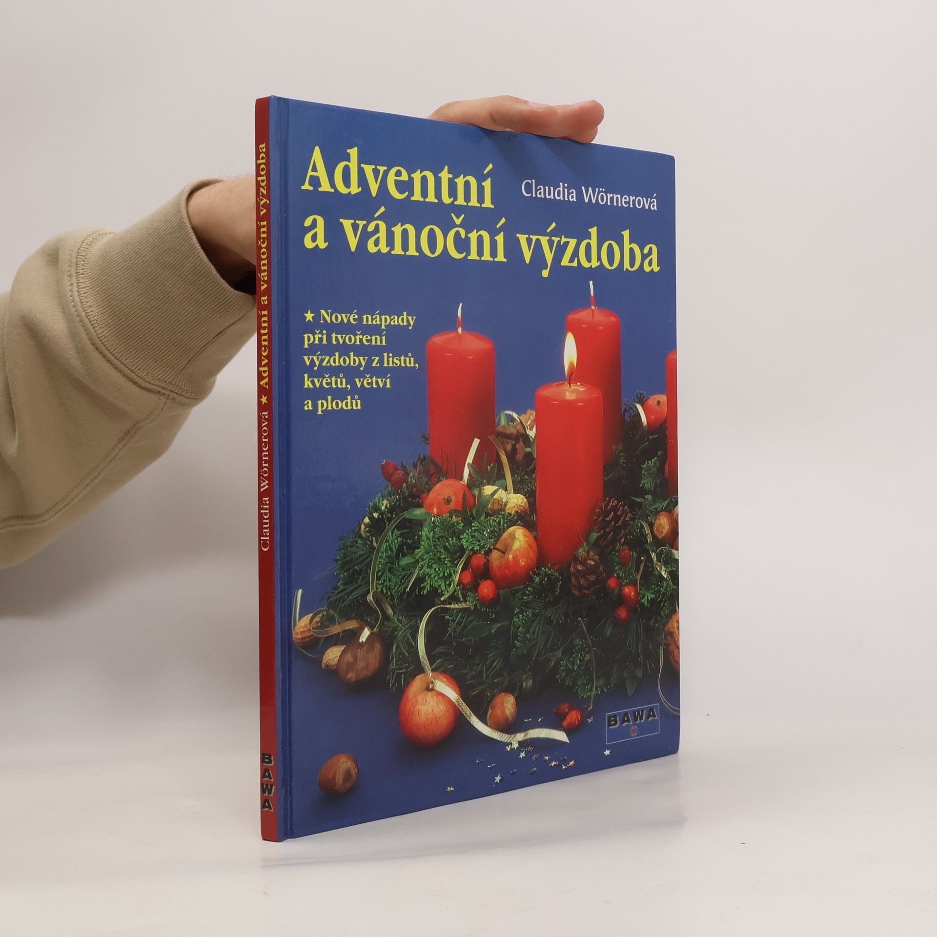 Claudia Wörner Adventní a vánoční výzdoba : nové nápady při tvoření výzdoby z listů, květů, větví a plodů