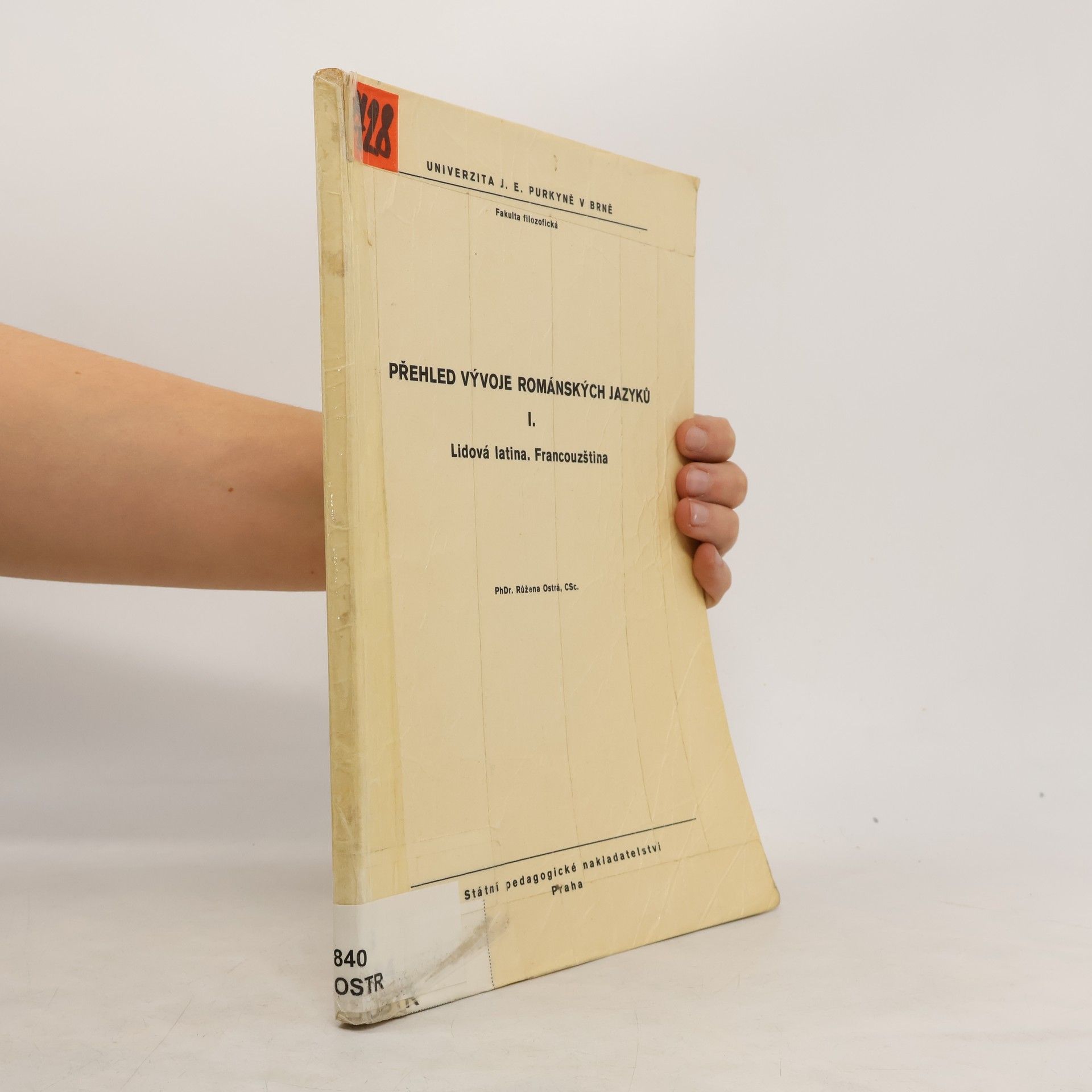 Přehled vývoje románských jazyků I.