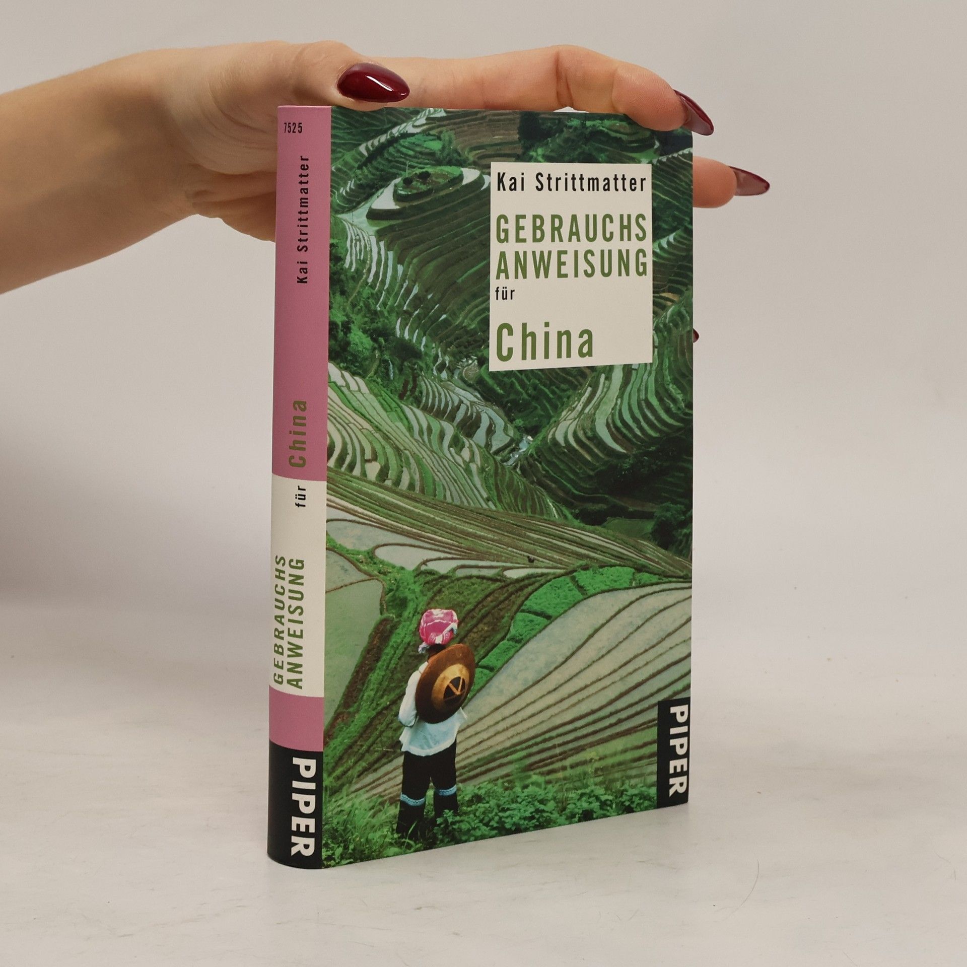 Kai Strittmatter Gebrauchsanweisung für China