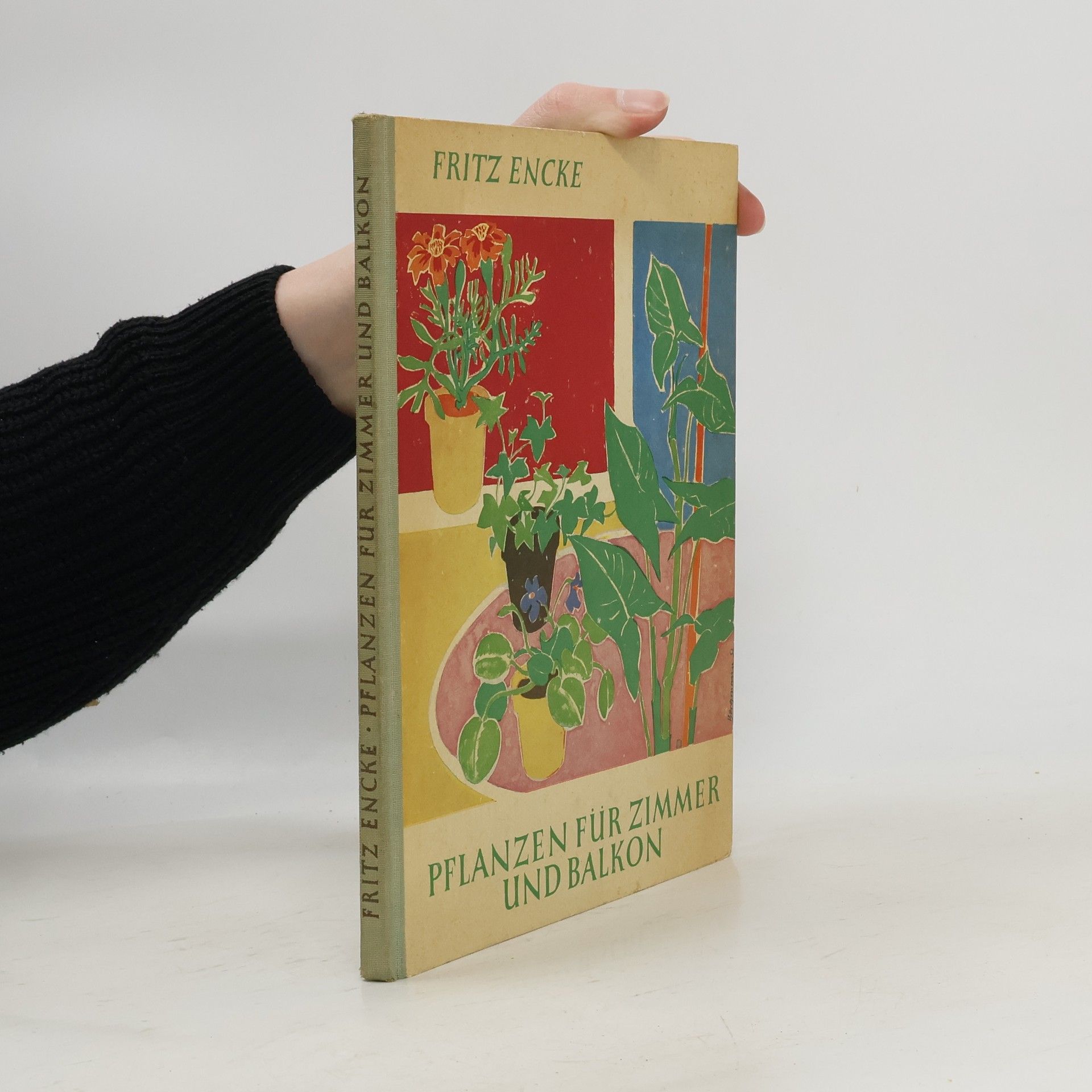 Pflanzen für Zimmer und Balkon