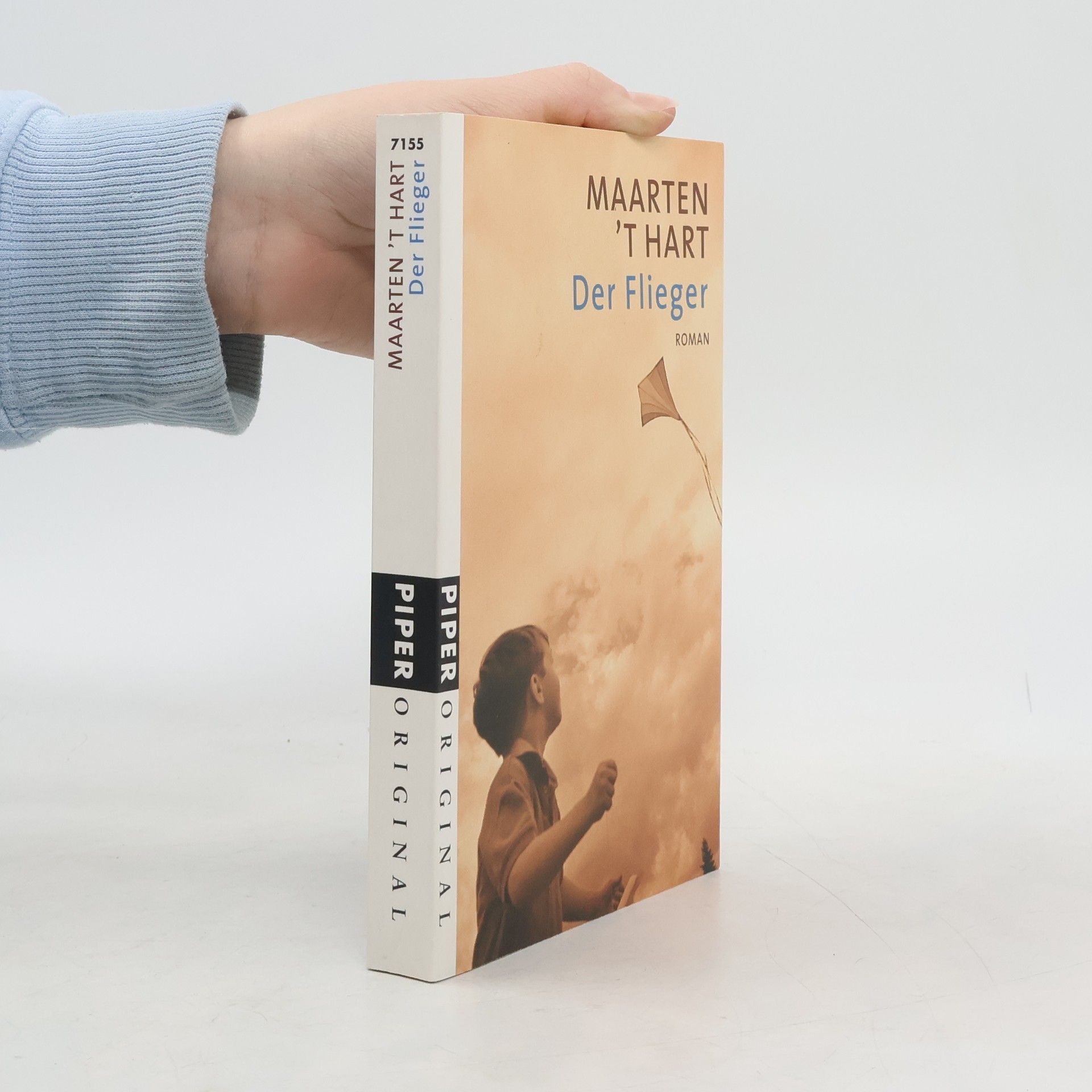 Maarten 't Hart Der Flieger