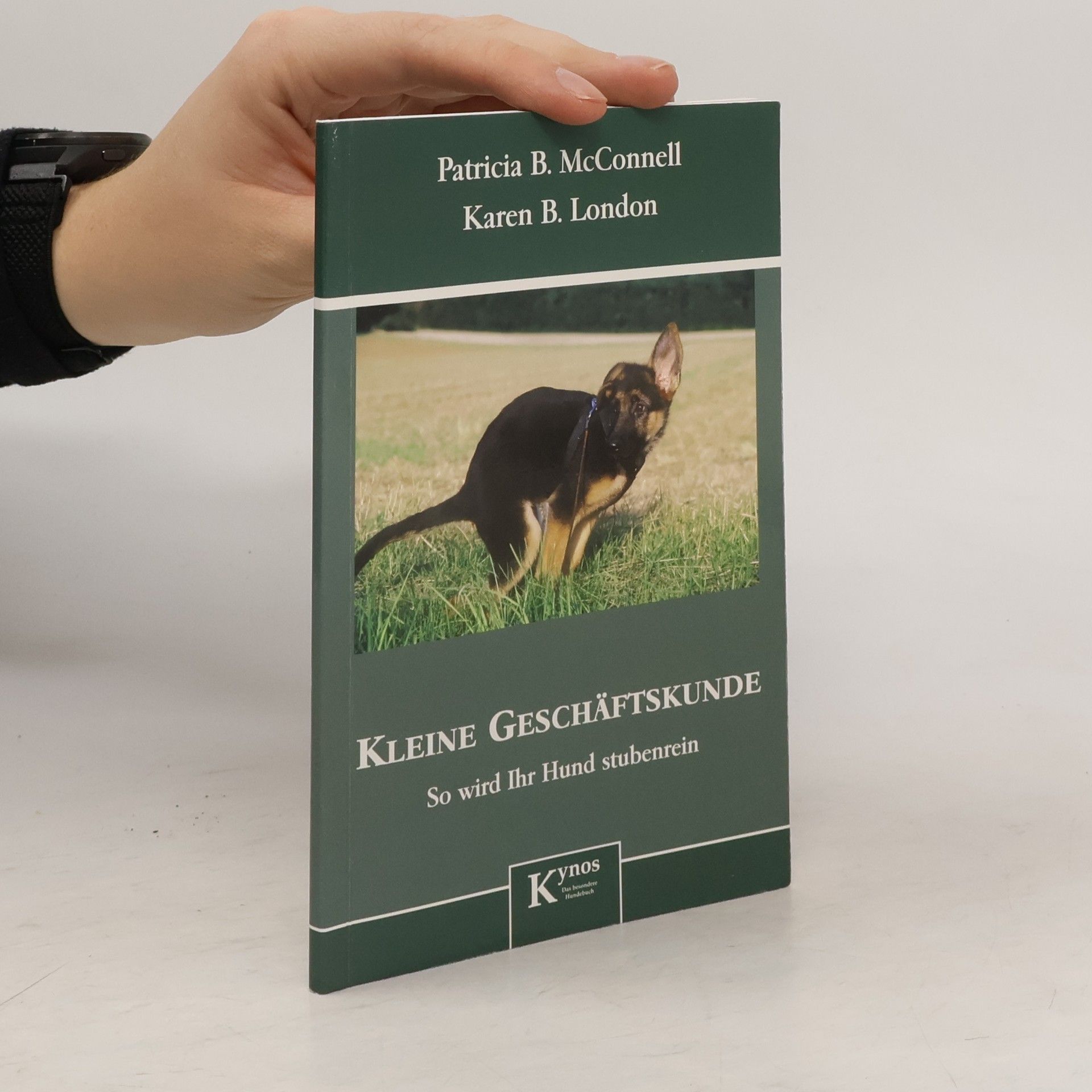 Kleine Geschäftskunde