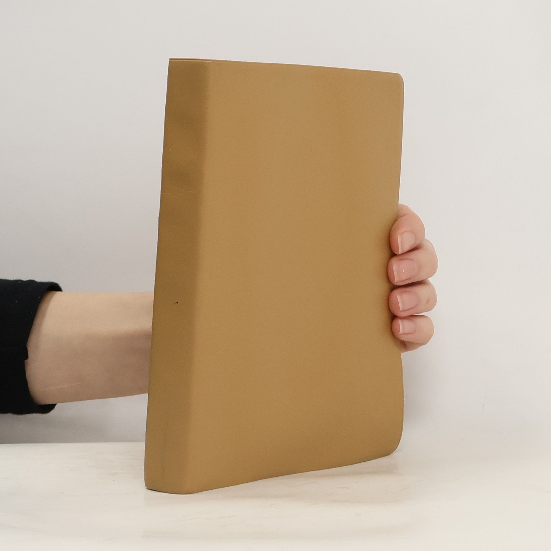 AA.VV. Biblická konkordance