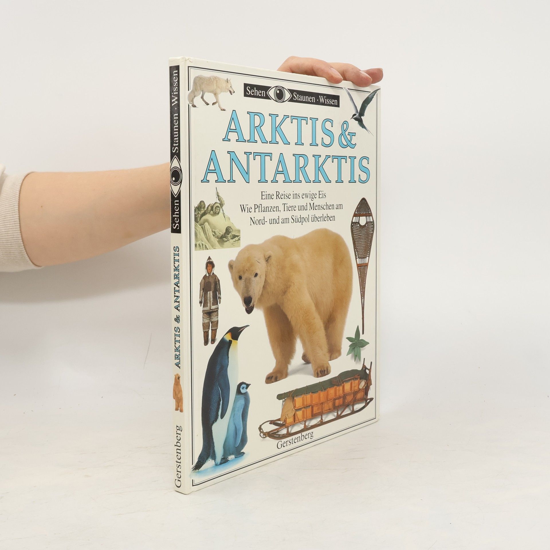 Barbara Taylor Bradford Arktis & Antarktis