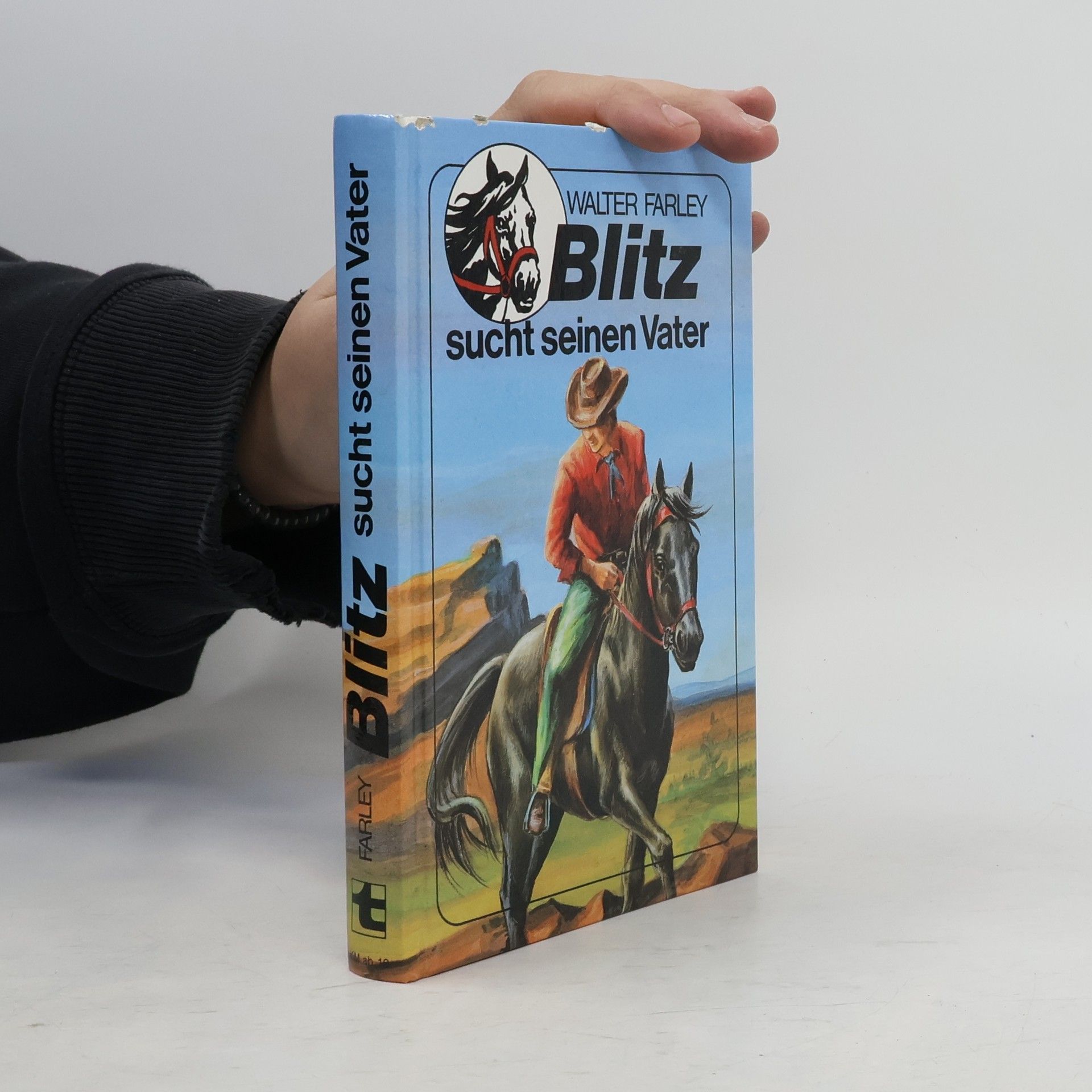 Walter Farley Blitz sucht seinen Vater