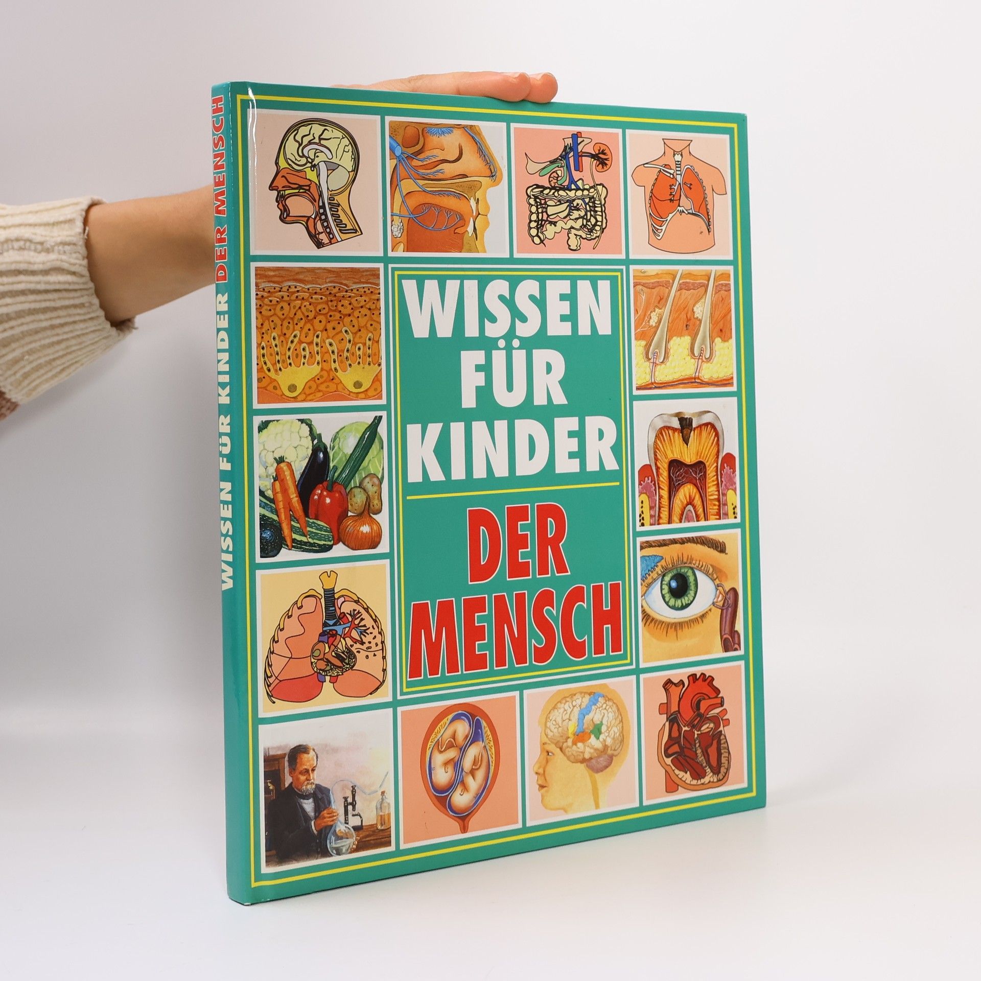 Wissen für Kinder. Der Mensch