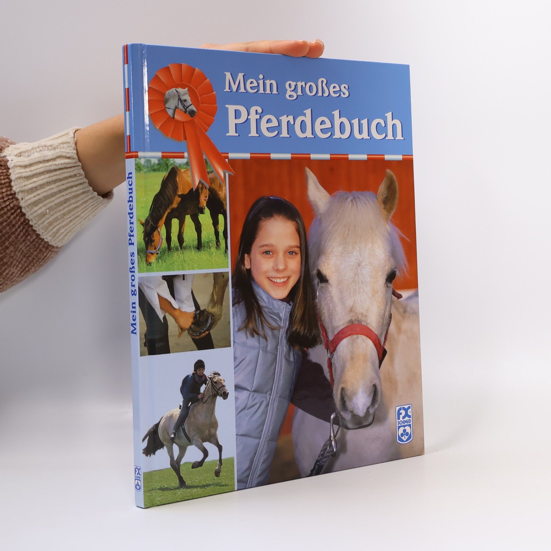 Mein großes Pferdebuch