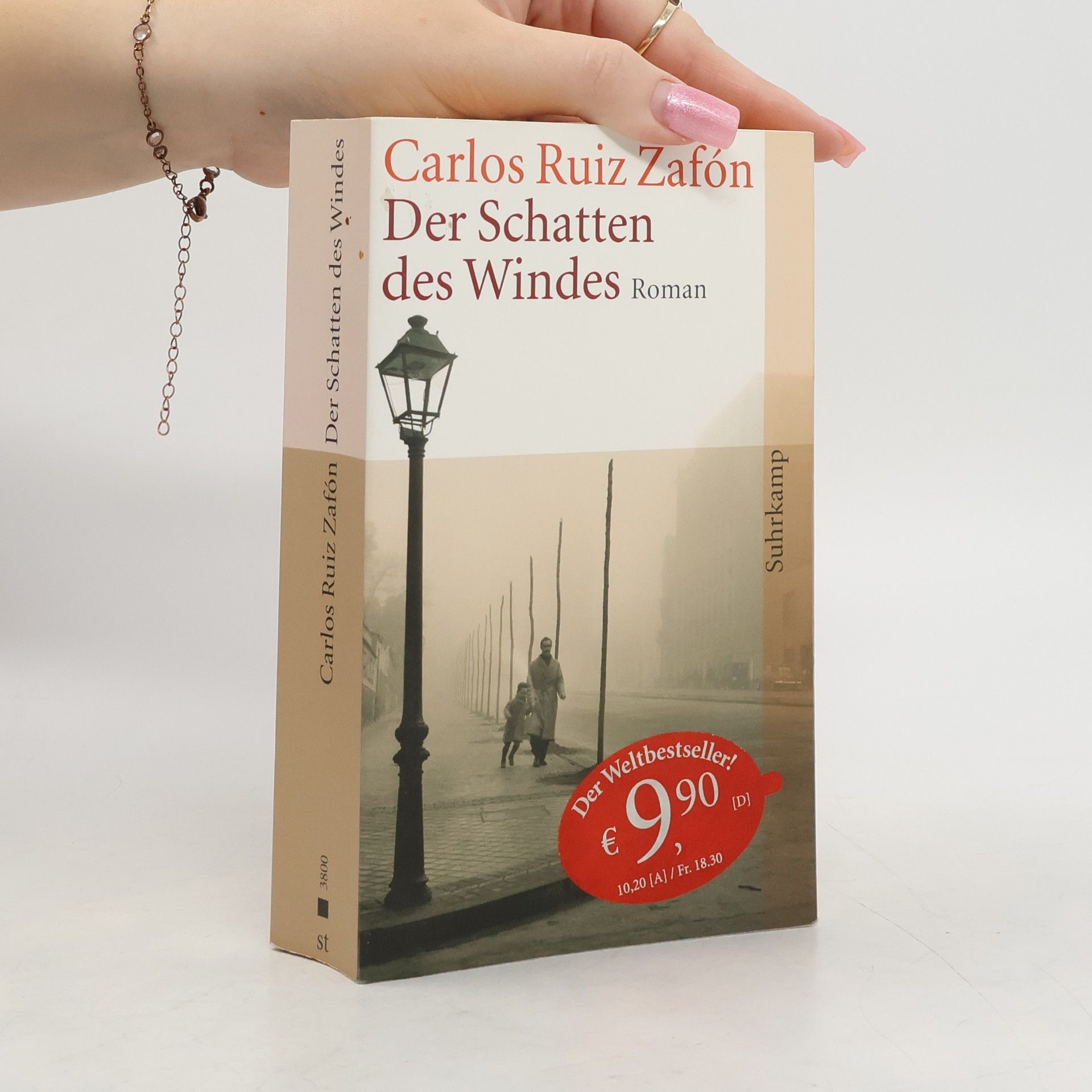 Carlos Ruiz Zafón Der Schatten des Windes