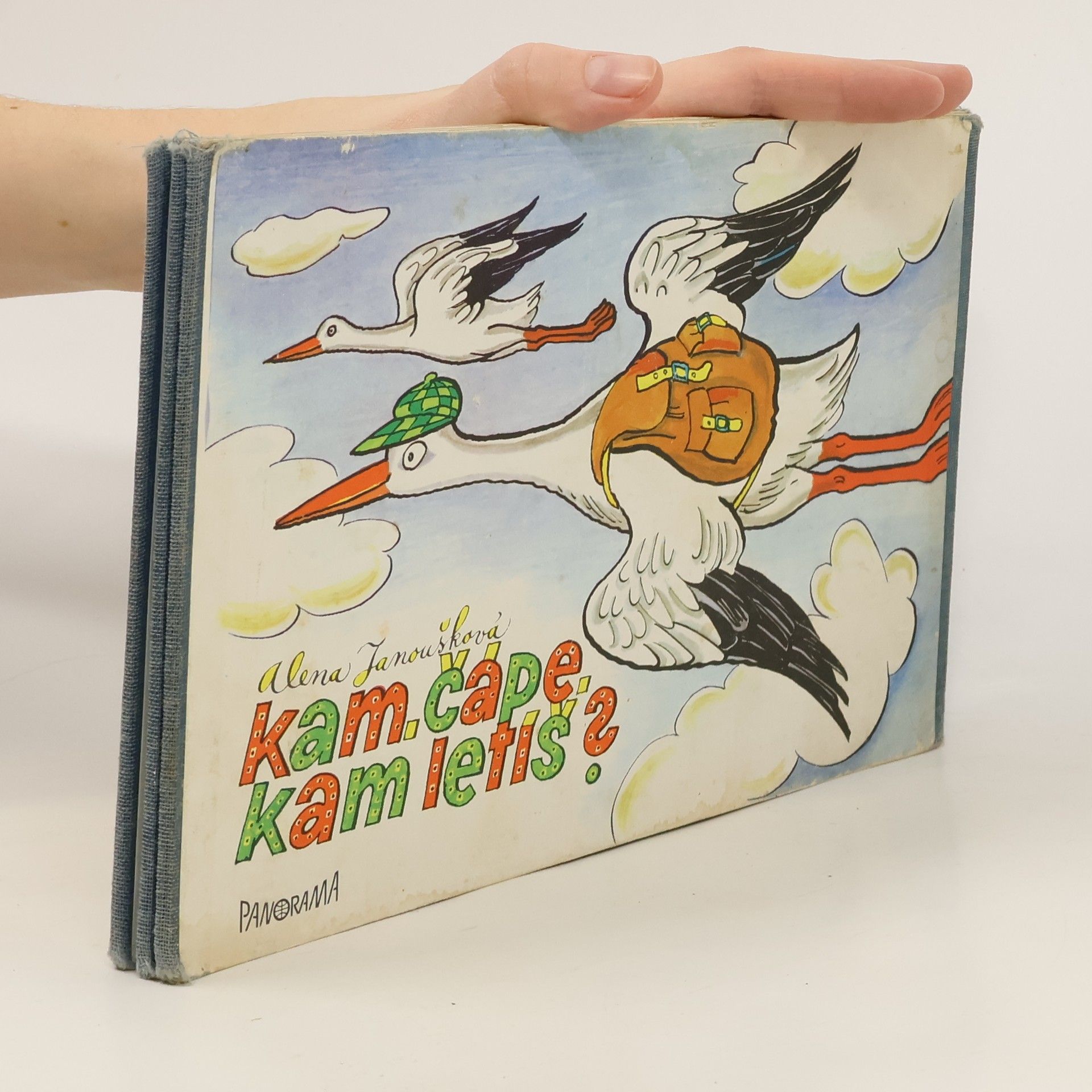 Alena Janoušková Vančurová Kam, čápe, kam letíš?