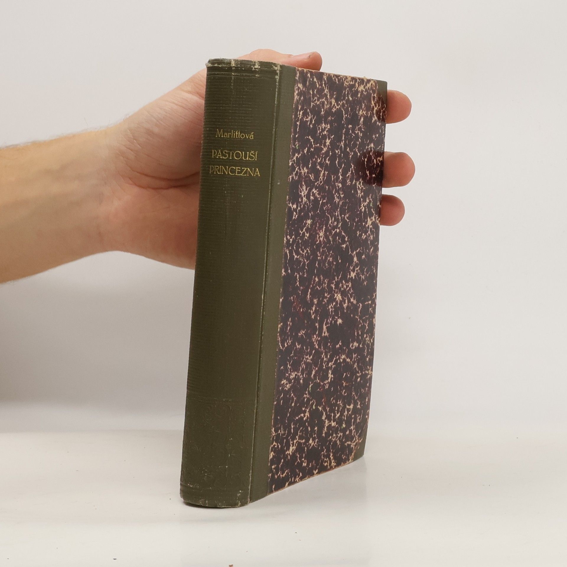 Eugenie Marlitt Pastouší princezna