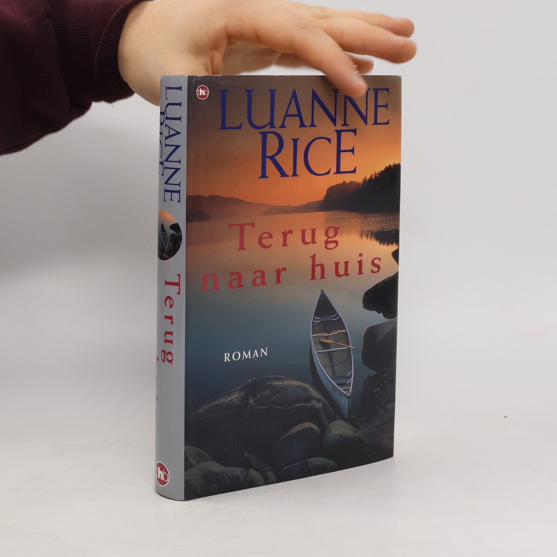 Luanne Rice Terug naar huis