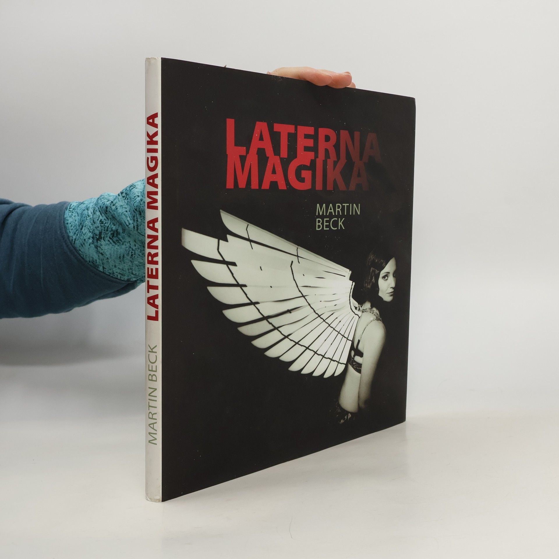 Martin Beck-Gasche Laterna magika