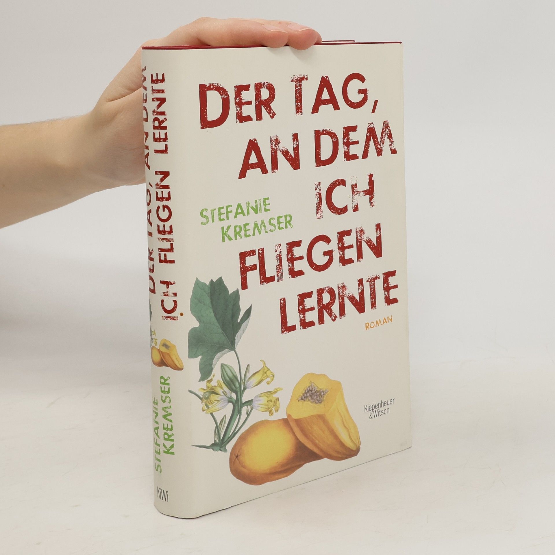 Stefanie Kremser Der Tag, an dem ich fliegen lernte