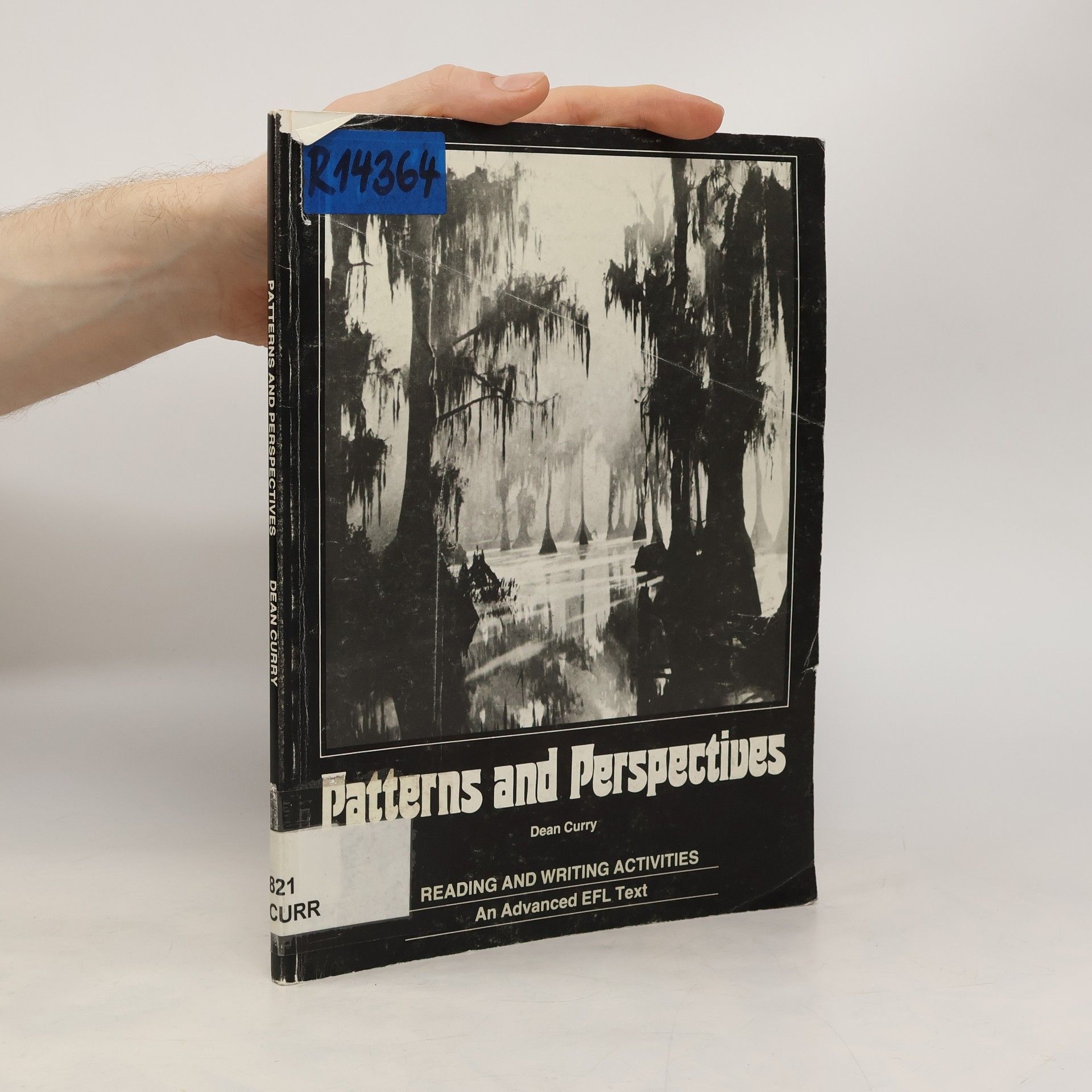 Curry Dean Patterns and Perspectives