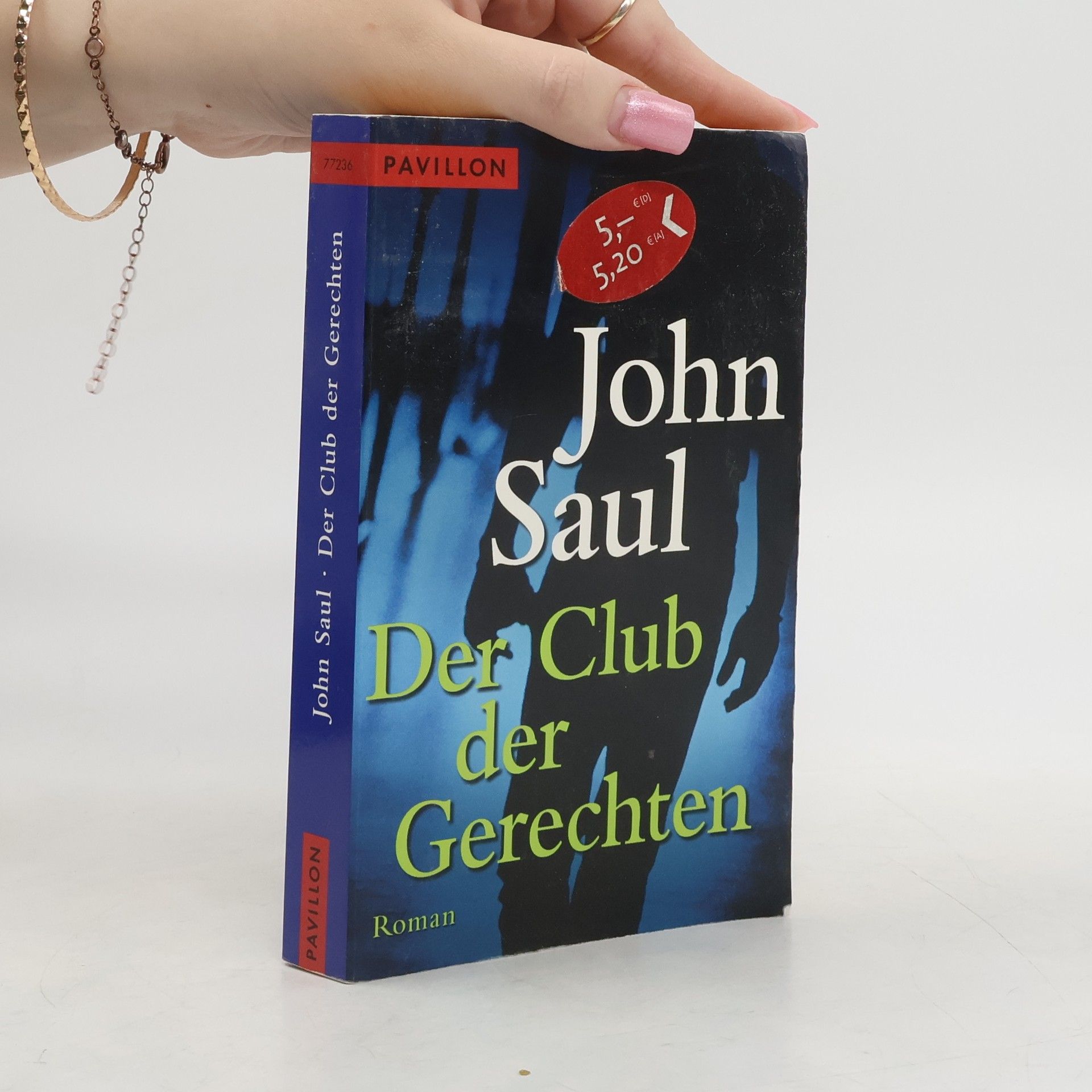 John Saul Der Club der Gerechten. Roman