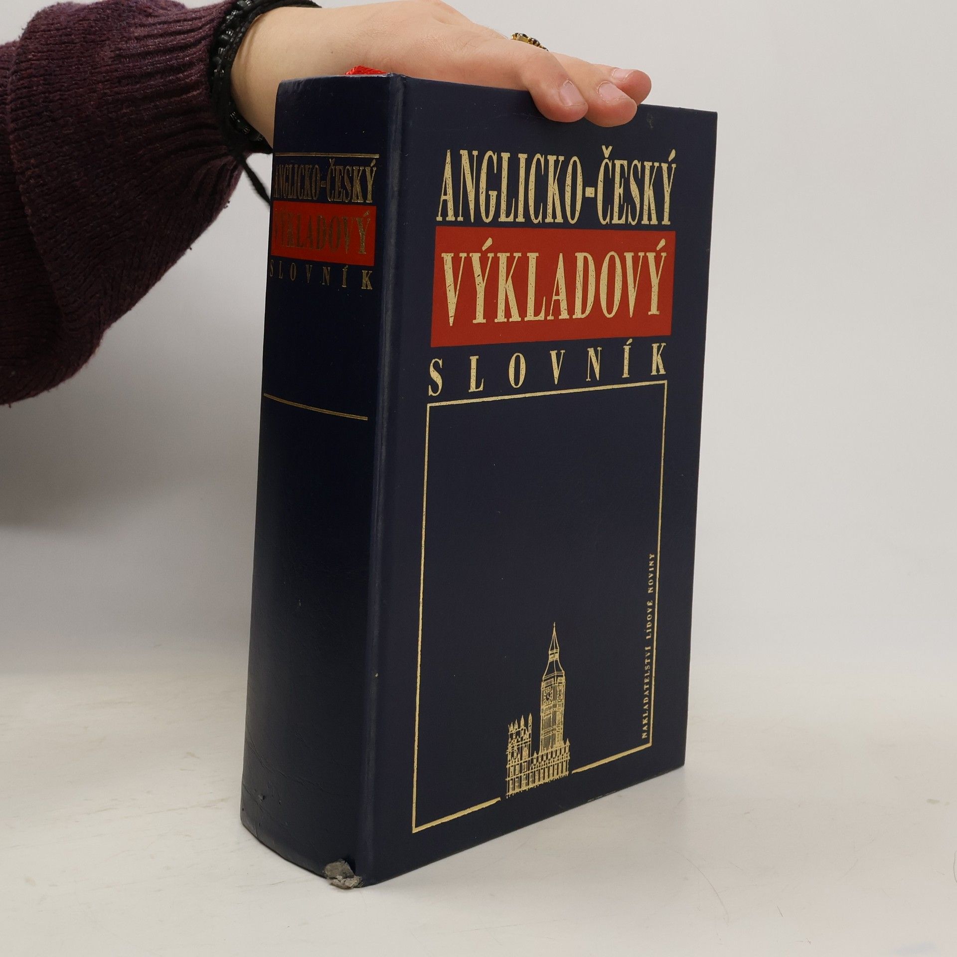 Kolektív autorov Anglicko-český výkladový slovník