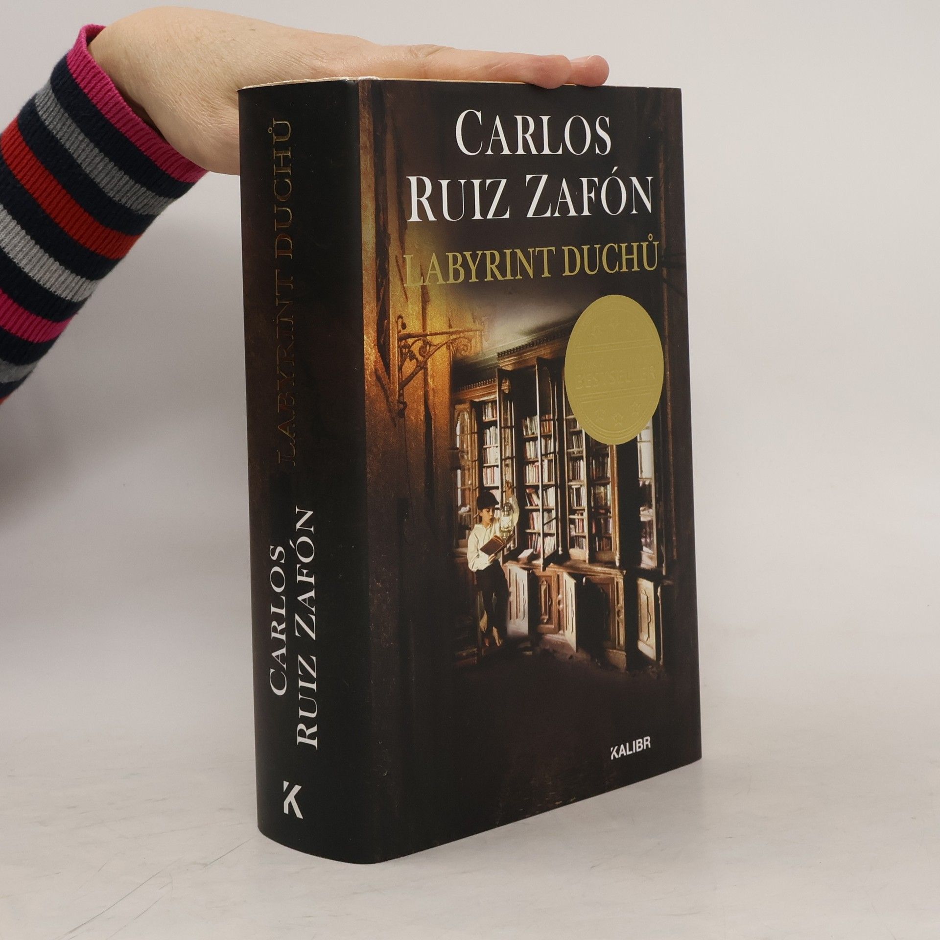 Carlos Ruiz Safon Labyrint duchů
