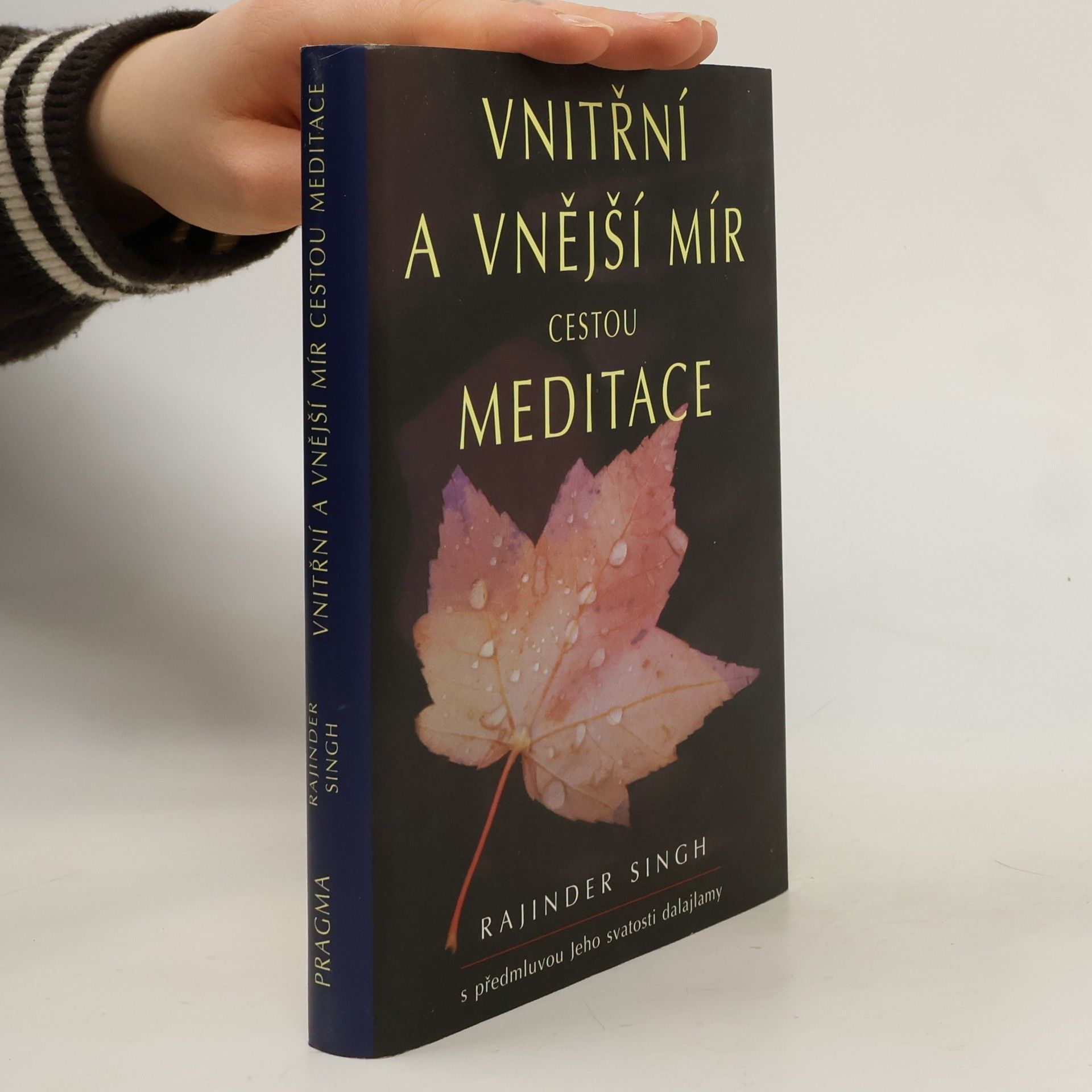 svatý Rajinder Singh Vnitřní a vnější mír cestou meditace