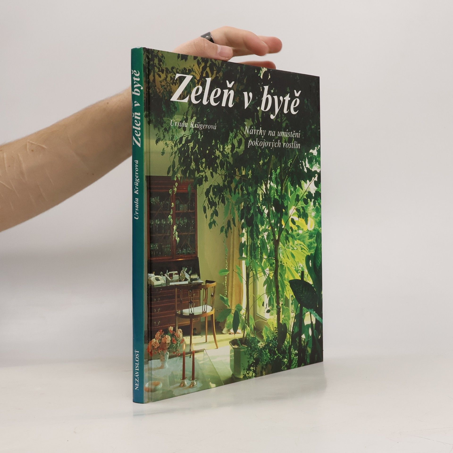 Zeleň v bytě. Návrhy na umístění pokojových rostlin