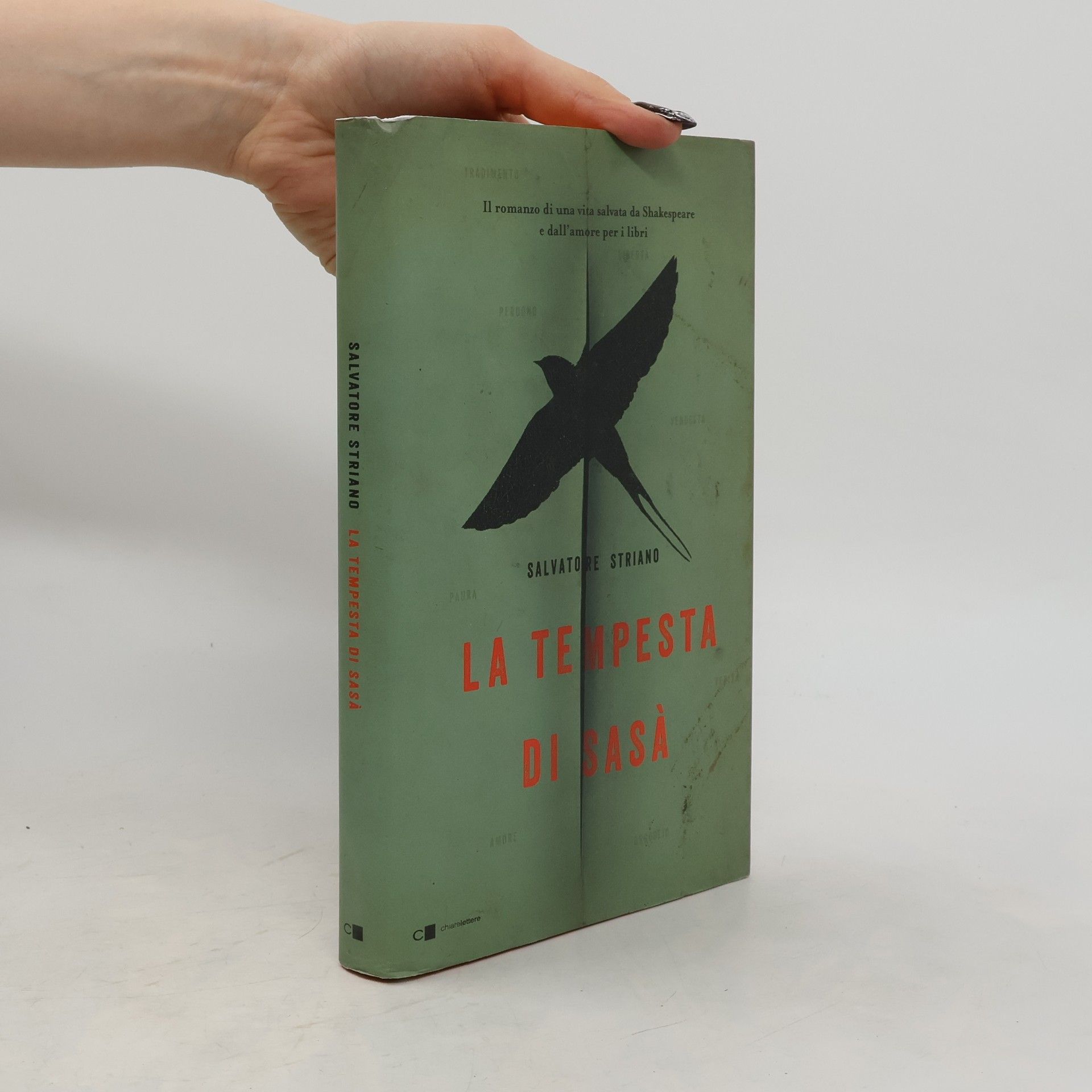 Salvatore Striano La tempesta di Sasà
