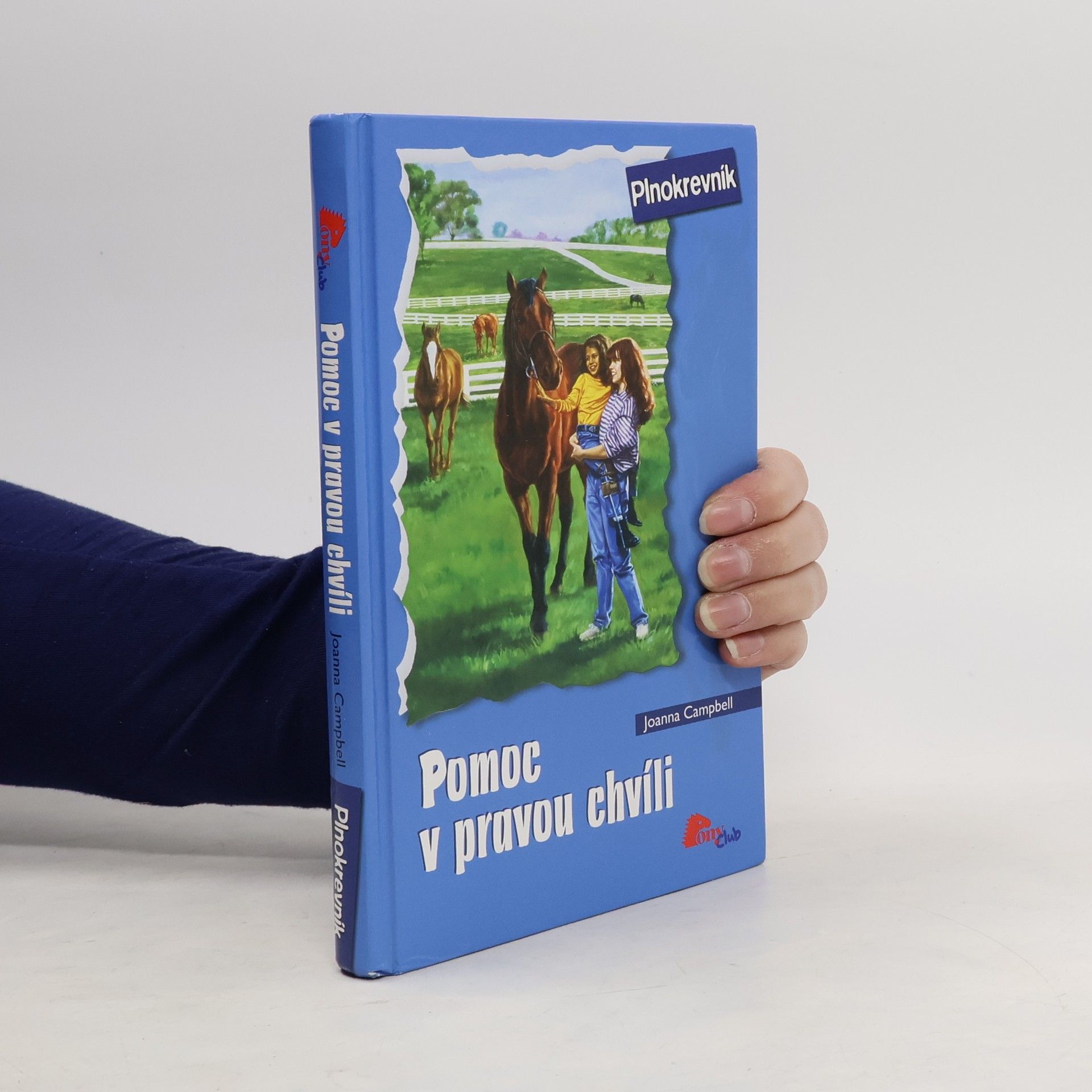 Joanna Campbell Pomoc v pravou chvíli