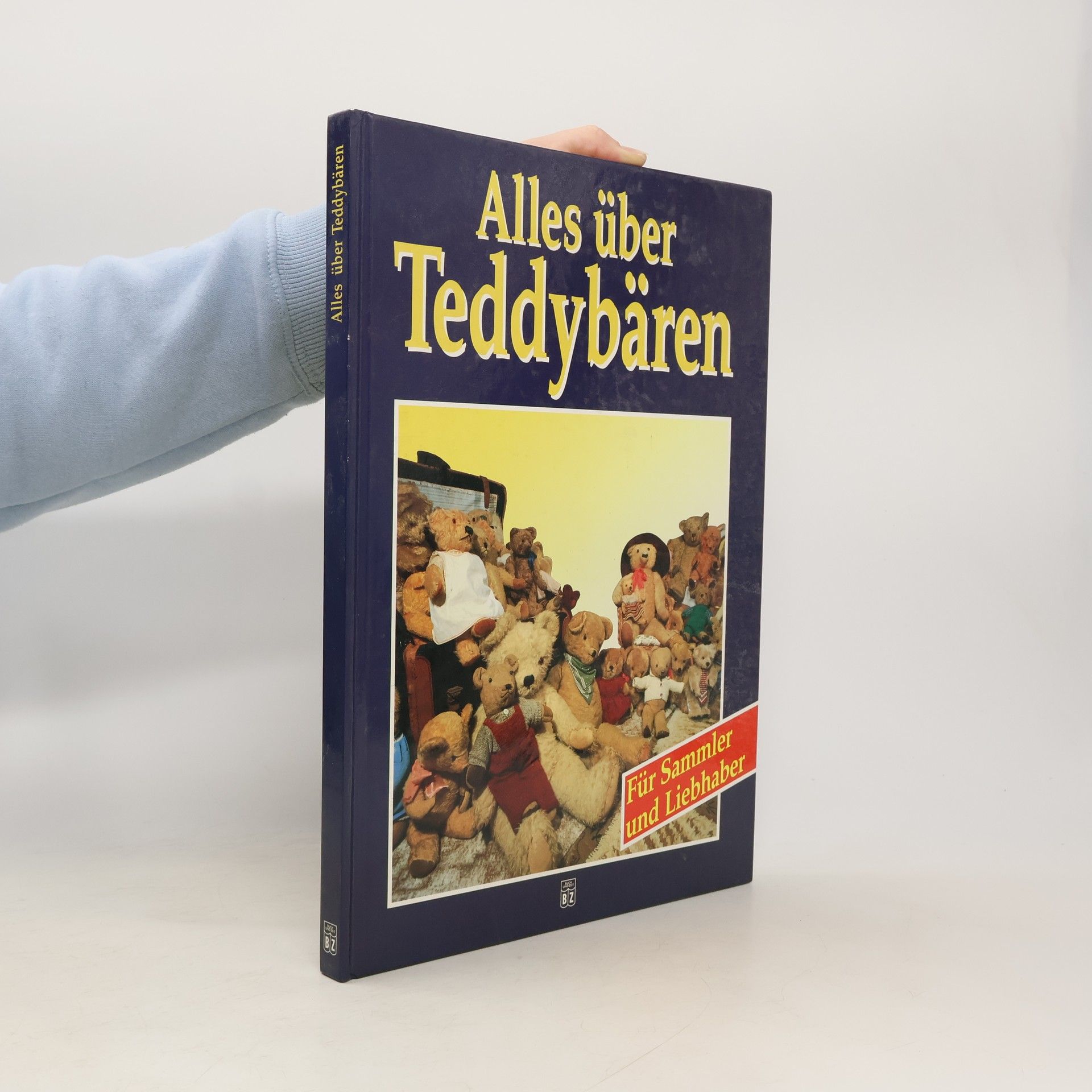 Kolektiv autorů Alles über Teddybären