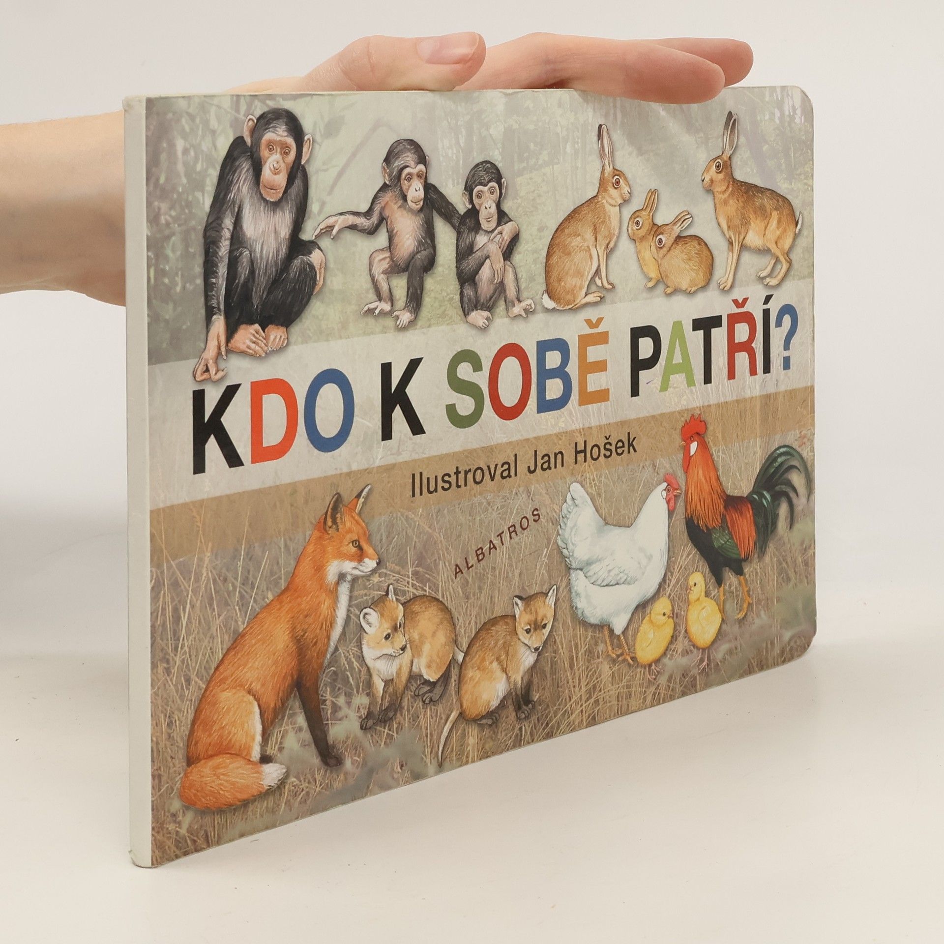 Jana Mikulecká Kdo k sobě patří