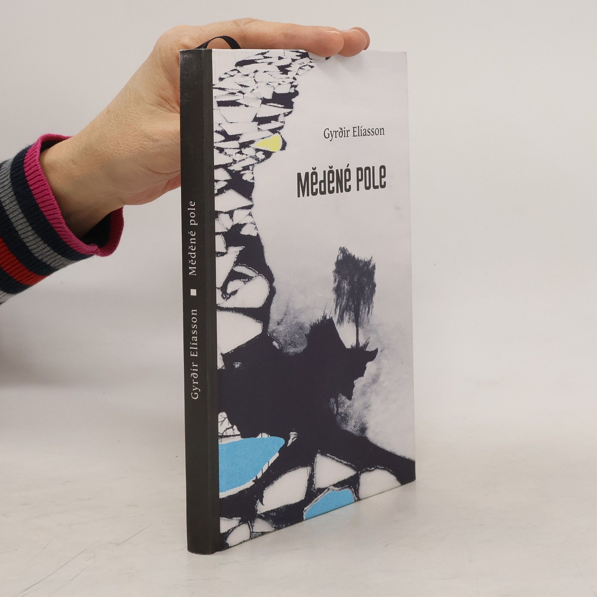 Gyrðir Elíasson Měděné pole