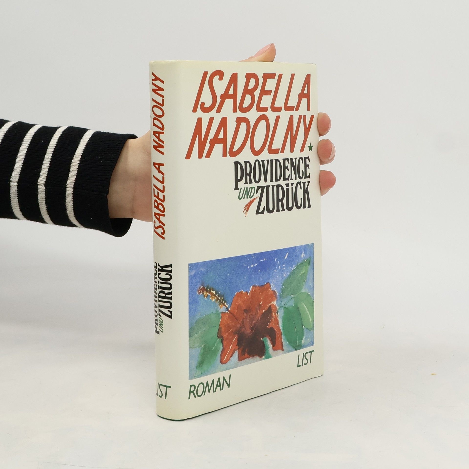 Isabella Nadolny Providence und zurück. Roman