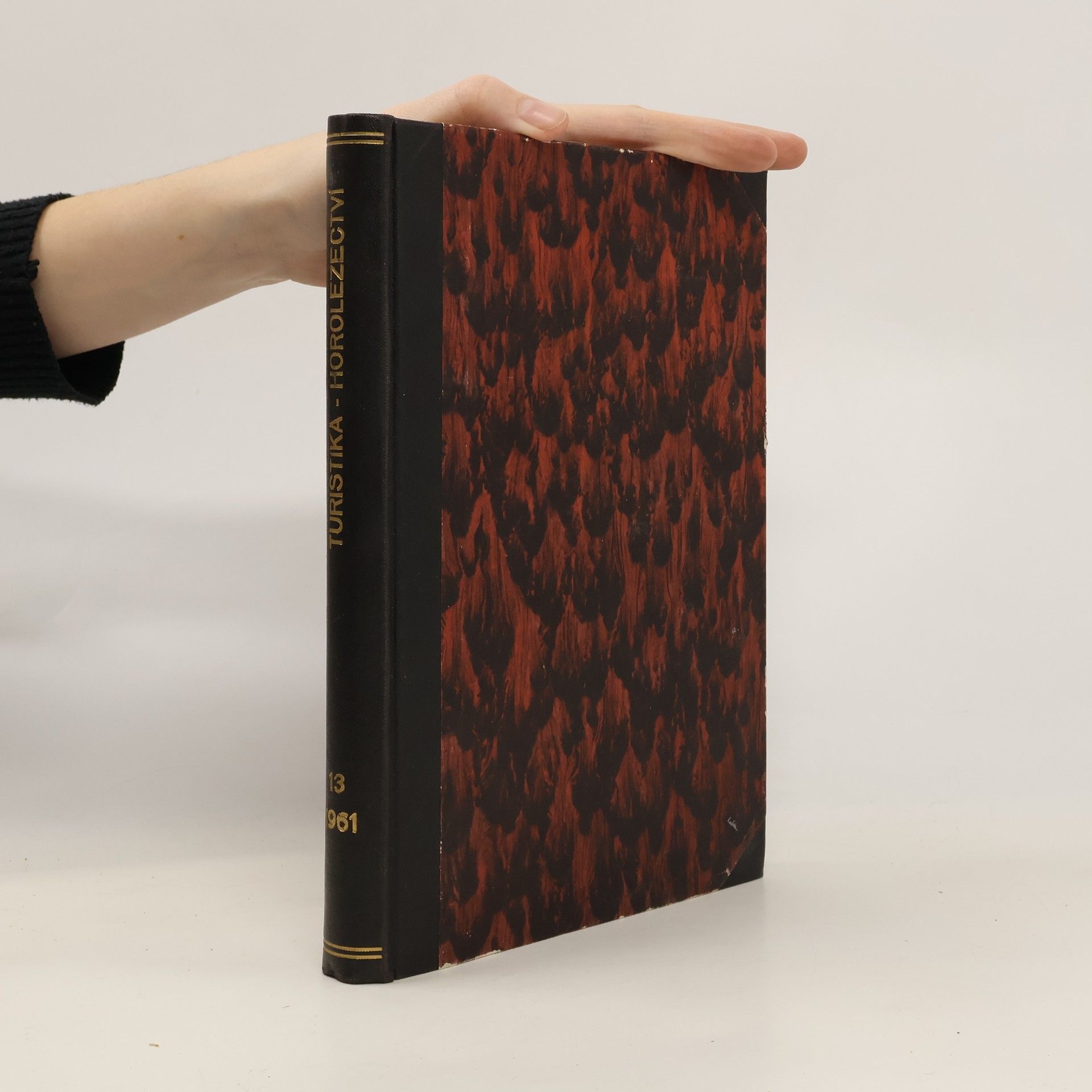 Kolektiv autorů Turistika-horolezectví