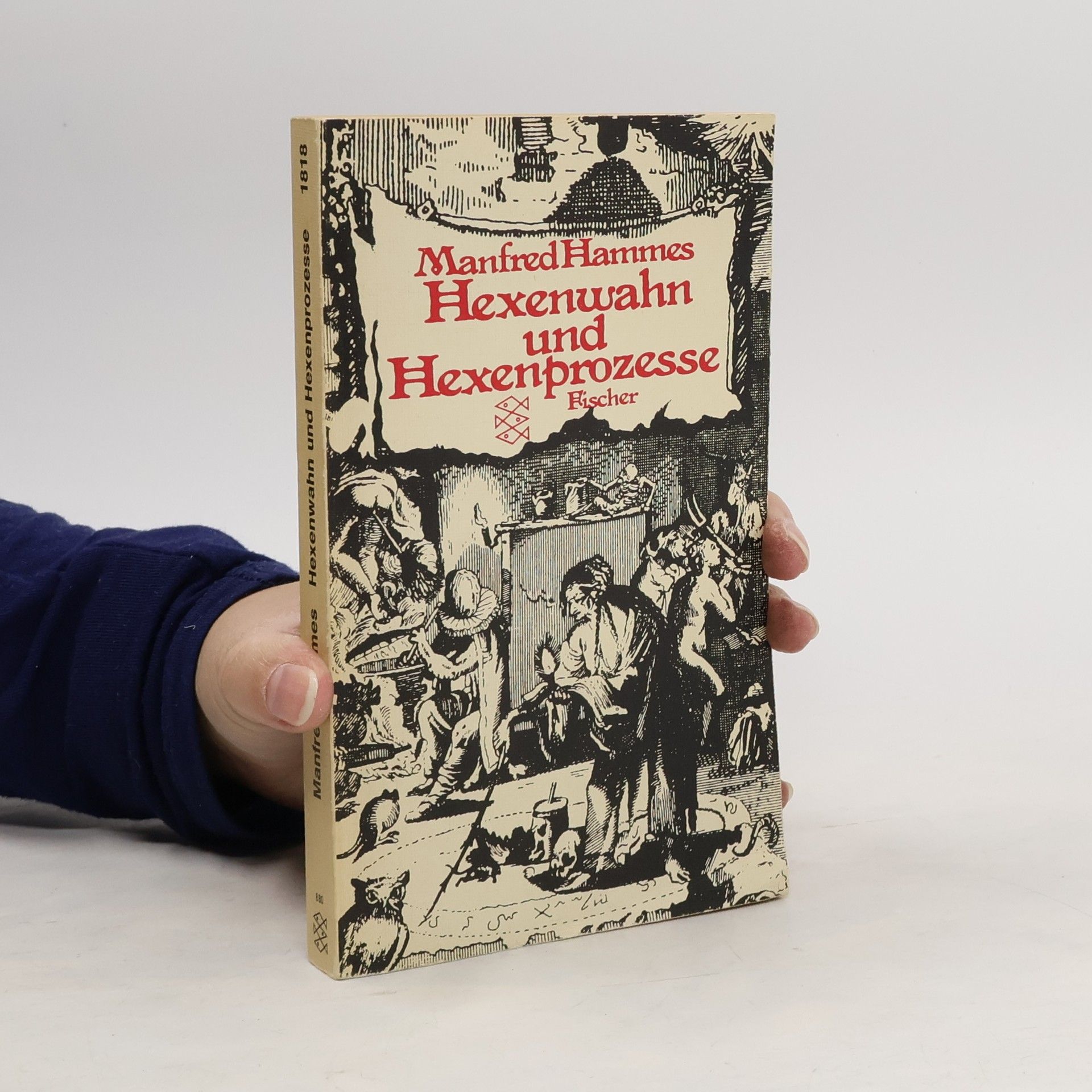 Manfred Hammes Hexenwahn und Hexenprozesse