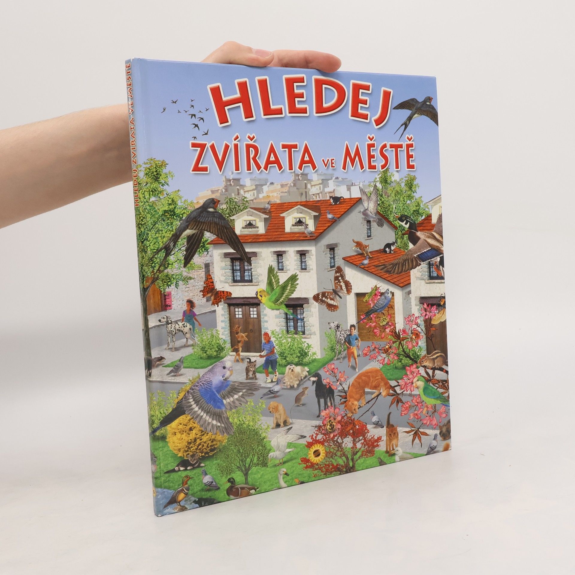 Francisco Arredondo Hledej zvířata ve městě