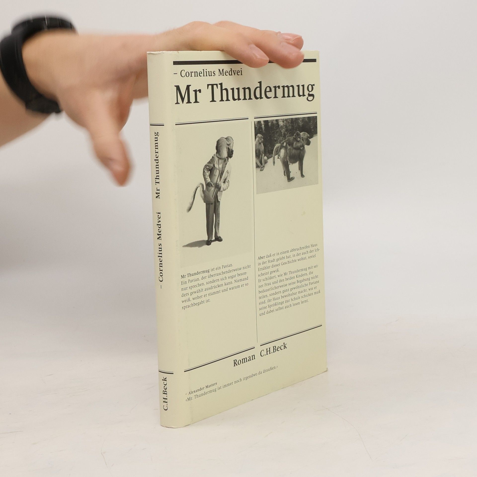 Cornelius Medvei Mr. Thundermug