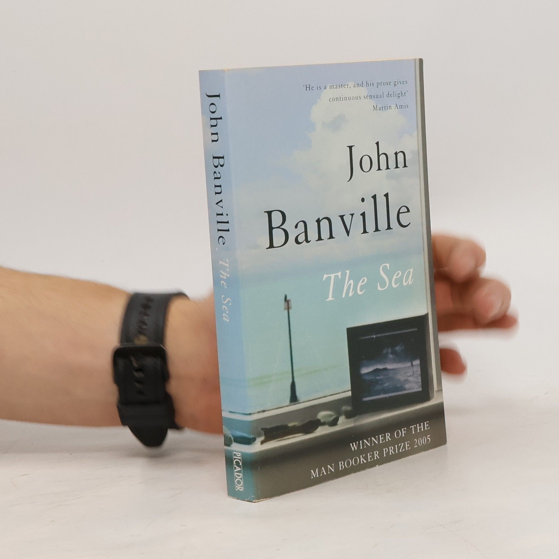 John Banville The sea