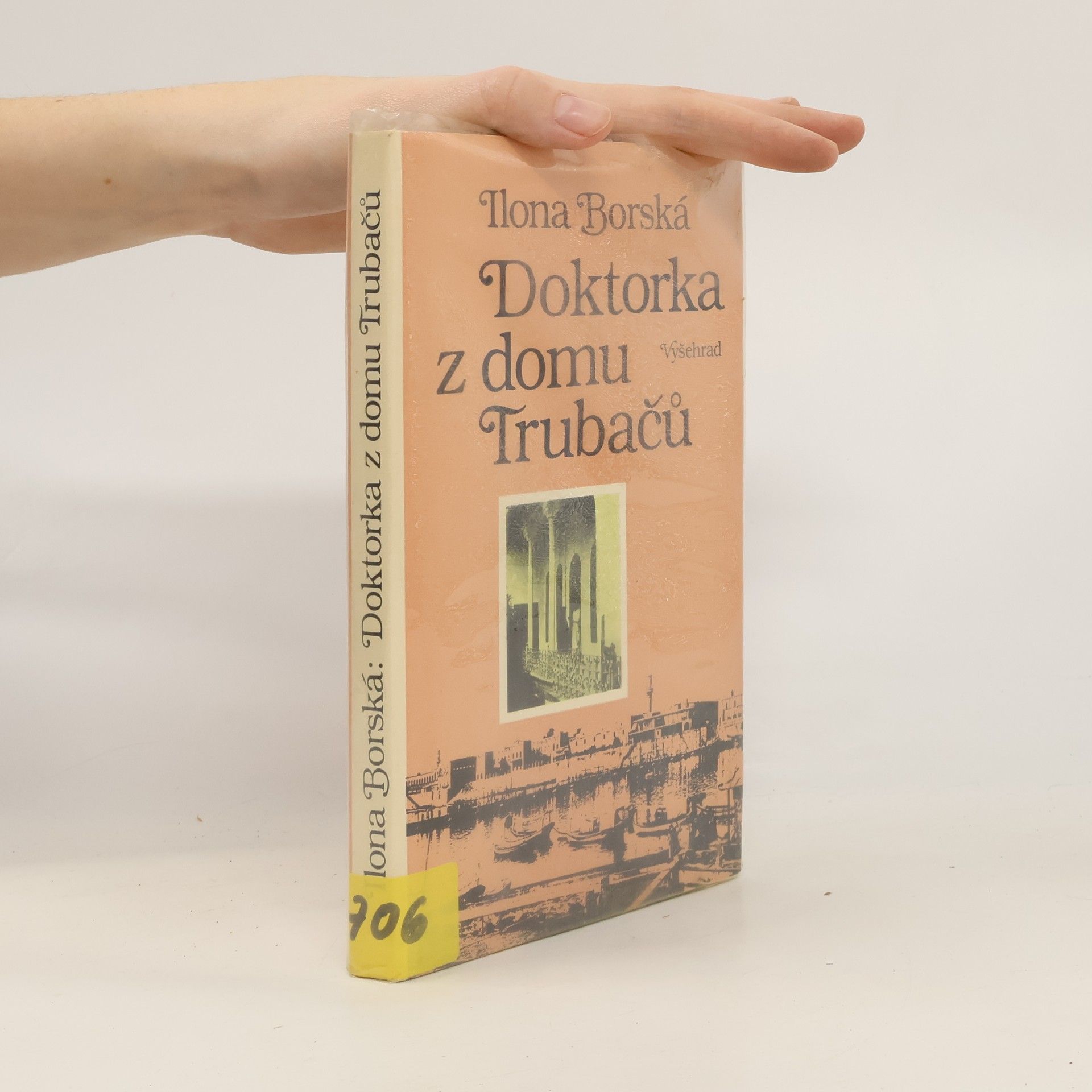 Ilona Borská Doktorka z domu Trubačů