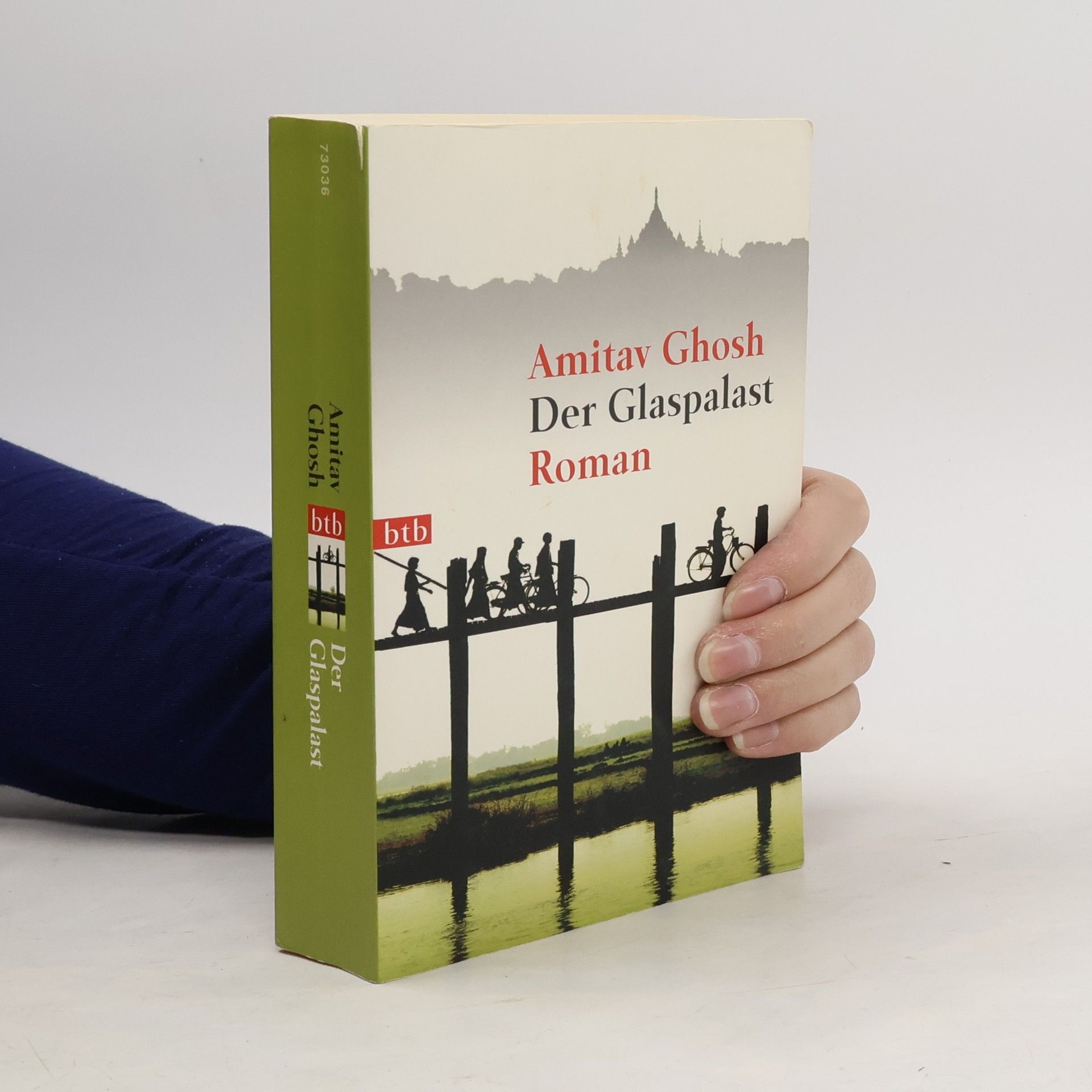 Amitav Ghosh Der Glaspalast